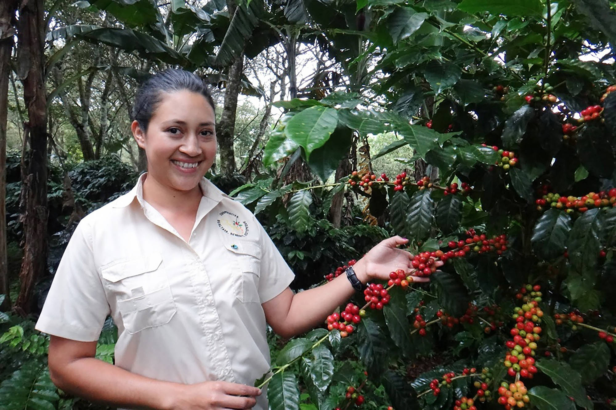 Portrait einer Frau, die rote Kaffeekirschen an einer Kaffeepflanze zeigt.