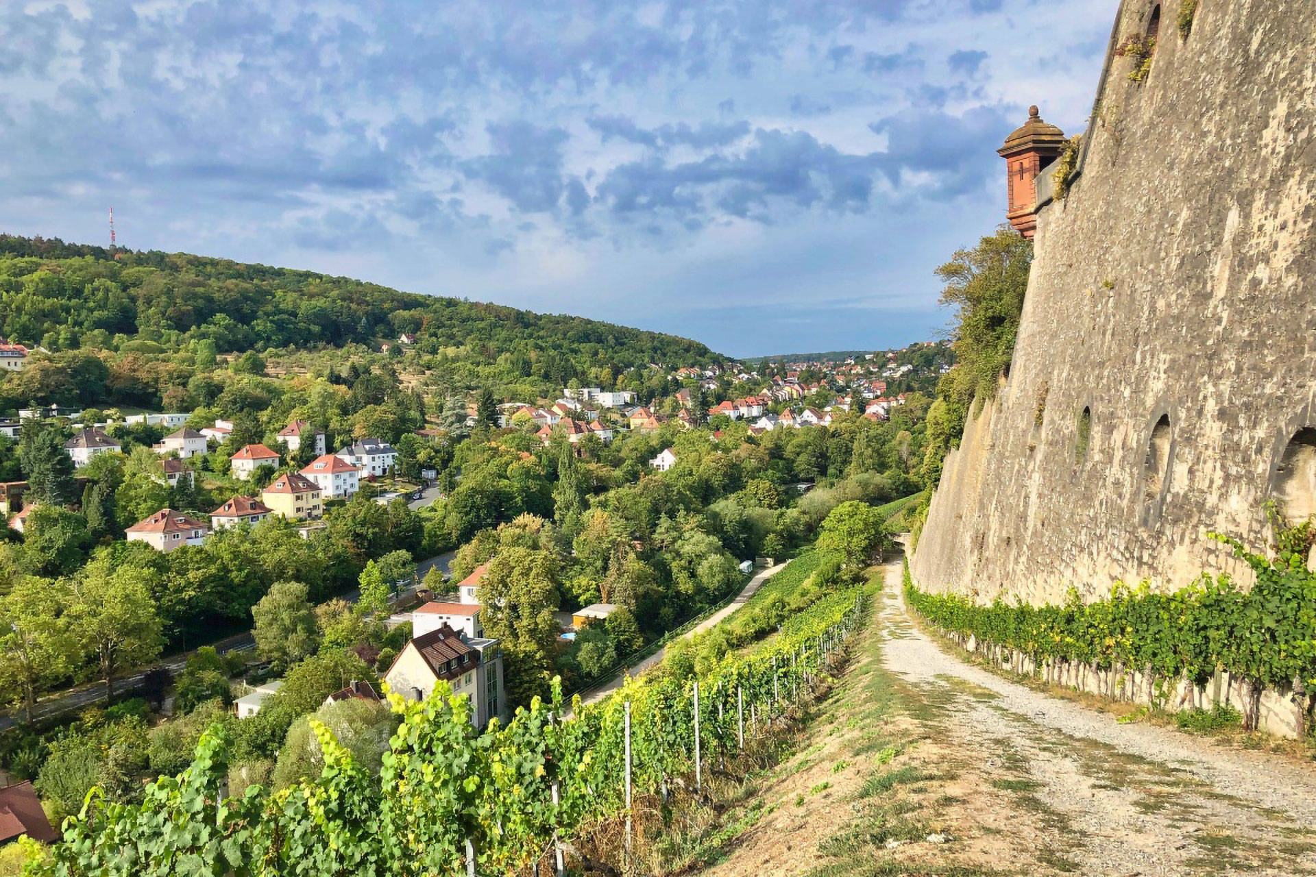 Weinberg an der Seite einer historischen Festungsmauer mit Blick auf ein Dorf und bewaldete Hügel unter bewölktem Himmel