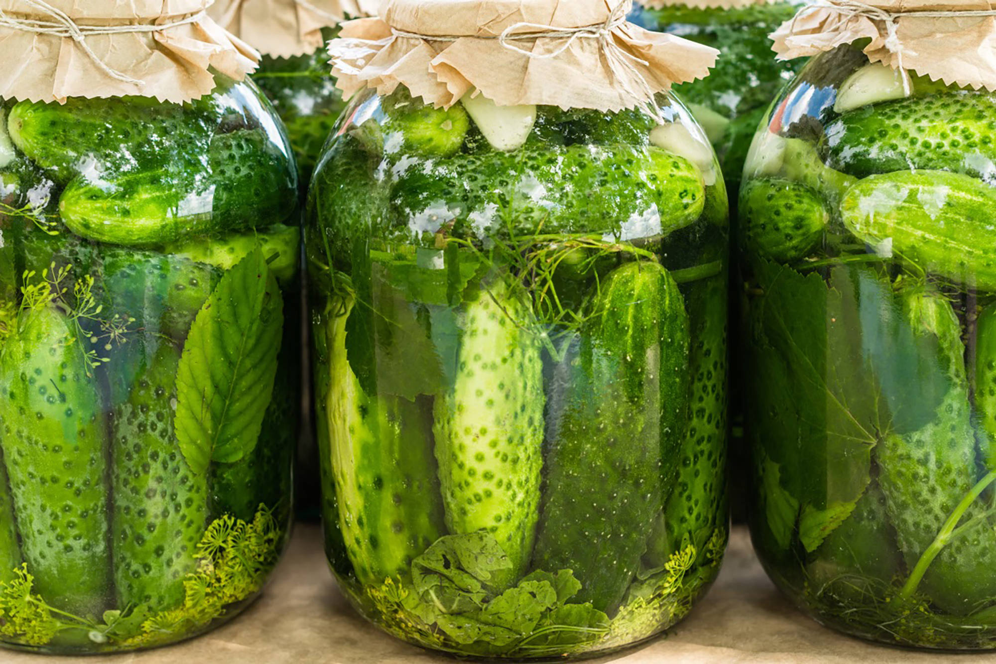 Eingelegte, saure Gurken in Einmachgläsern.