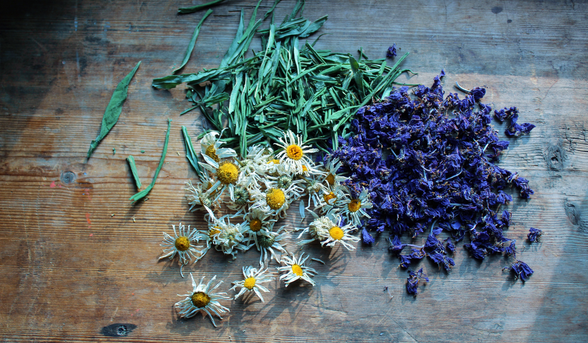 Getrocknete Blüten und Kräuter