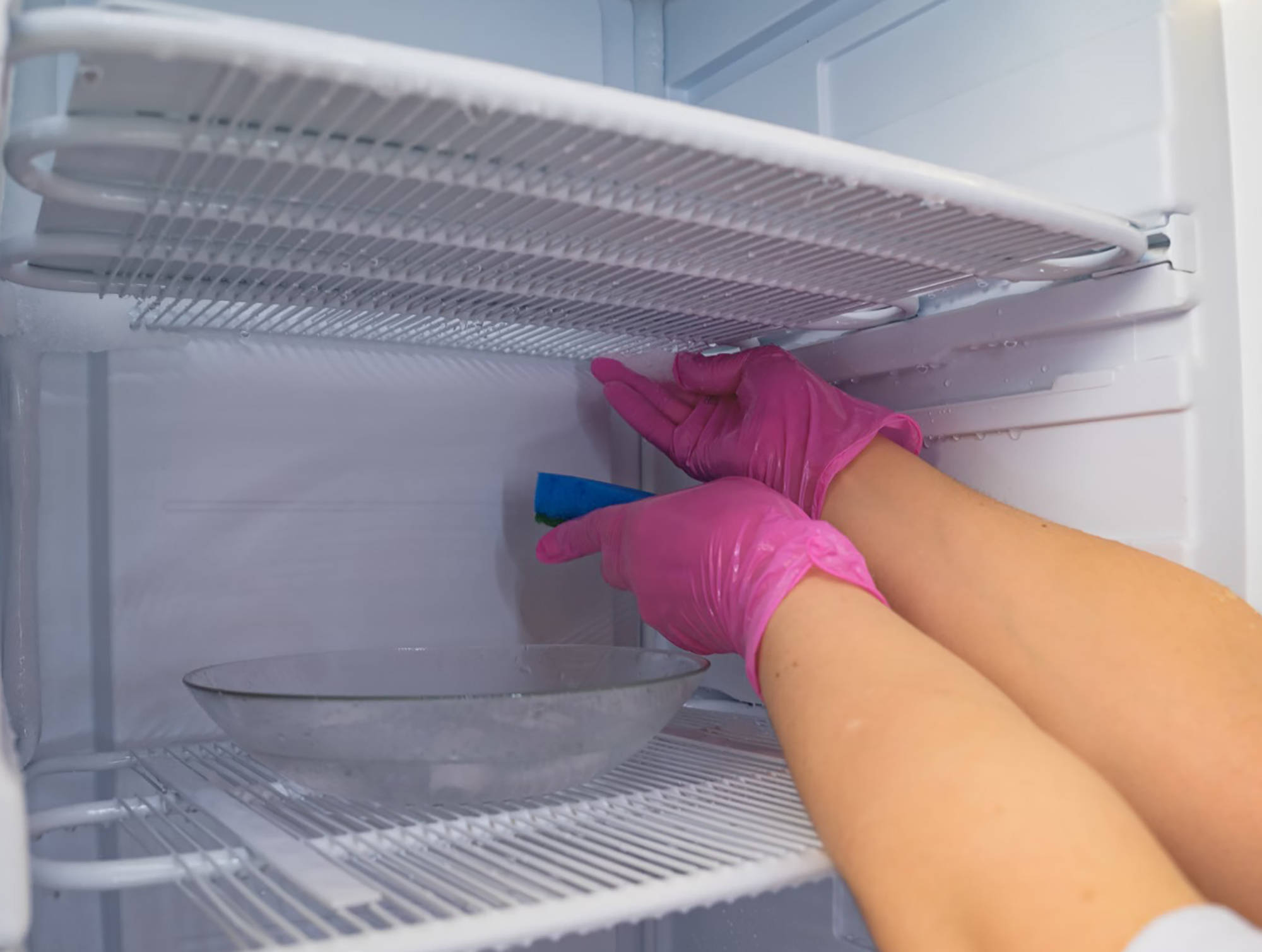 Person mit pinken Gummihandschuhen entfernt Eis aus einem vereisten Gefrierschrank mit einem blauen Schwamm..
