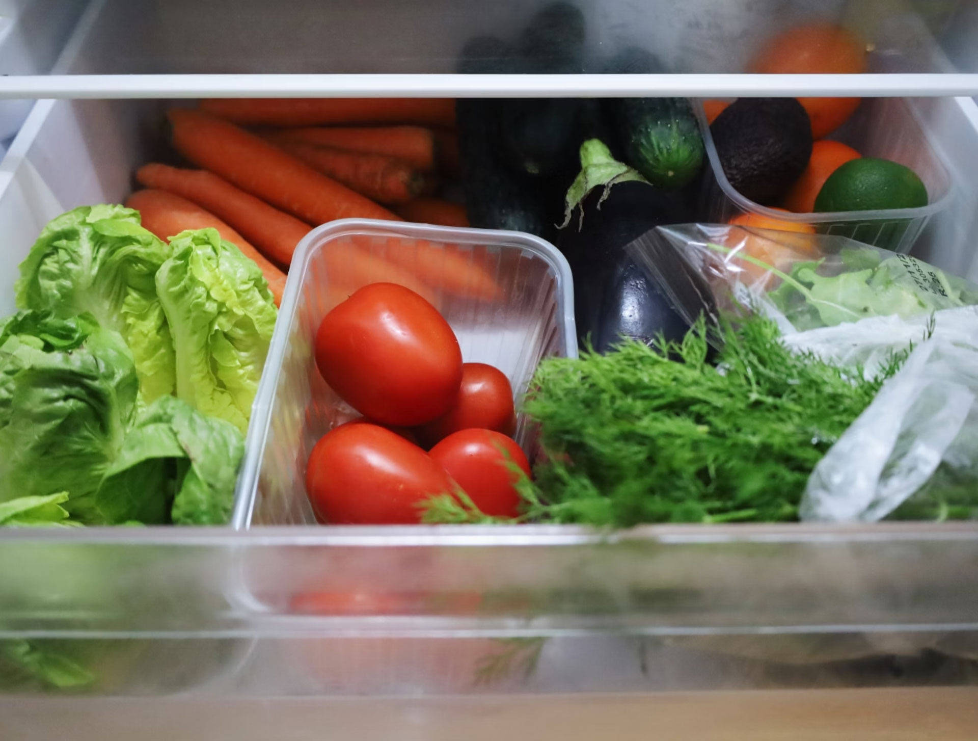 Blick in ein Gemüsefach gefüllt mit frischem Salat, Tomaten, Karotten, Gurken, Auberginen, Kräutern und Zitrusfrüchten.