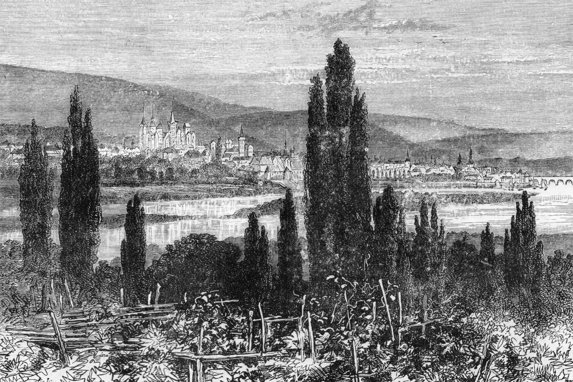 Eine Historische Zeichnung der Weinbauregion Mosel.