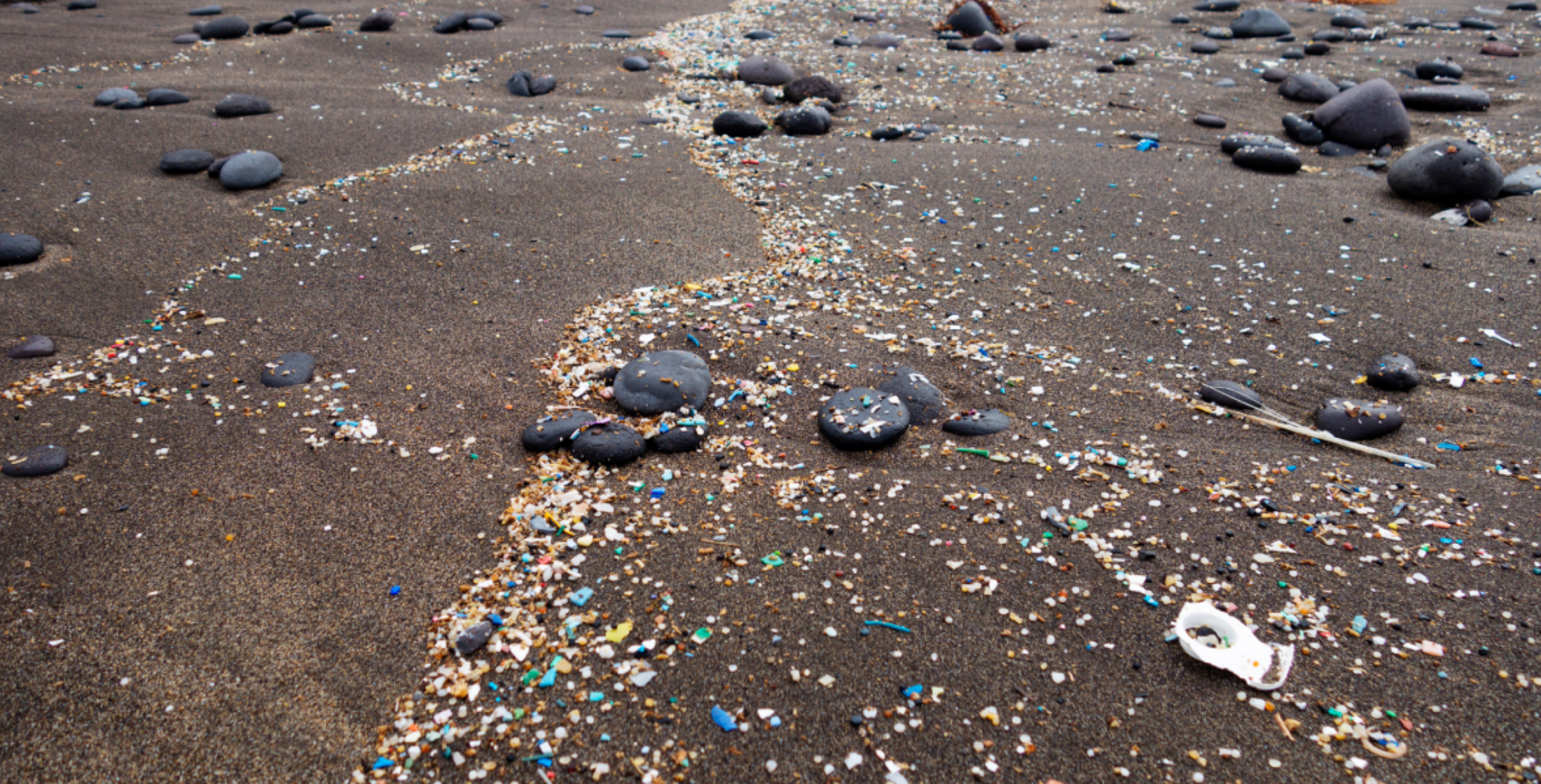 Plastikteilchen am Strand.