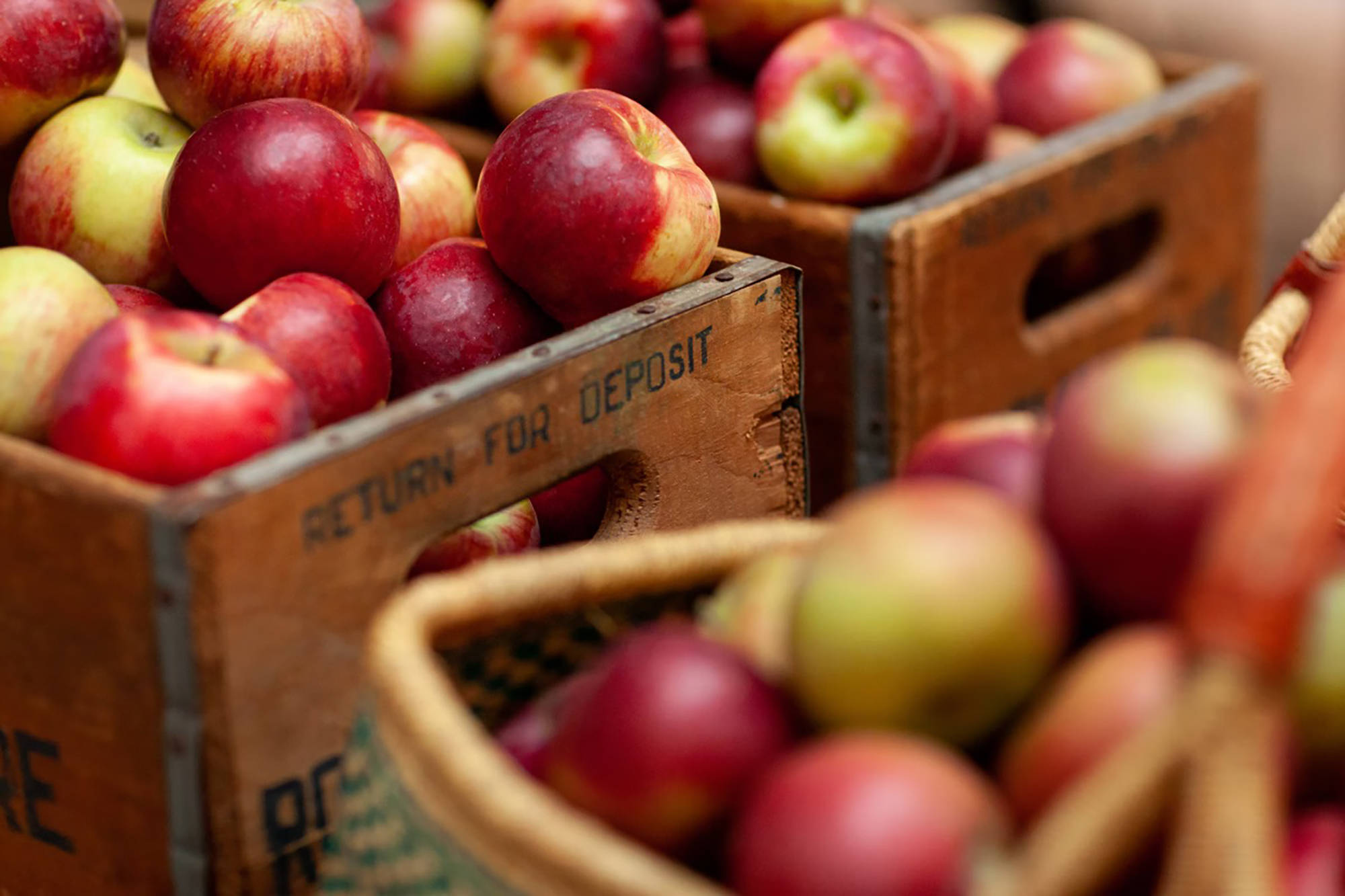 Holzkisten und Körbe gefüllt mit roten und grünen Äpfeln.