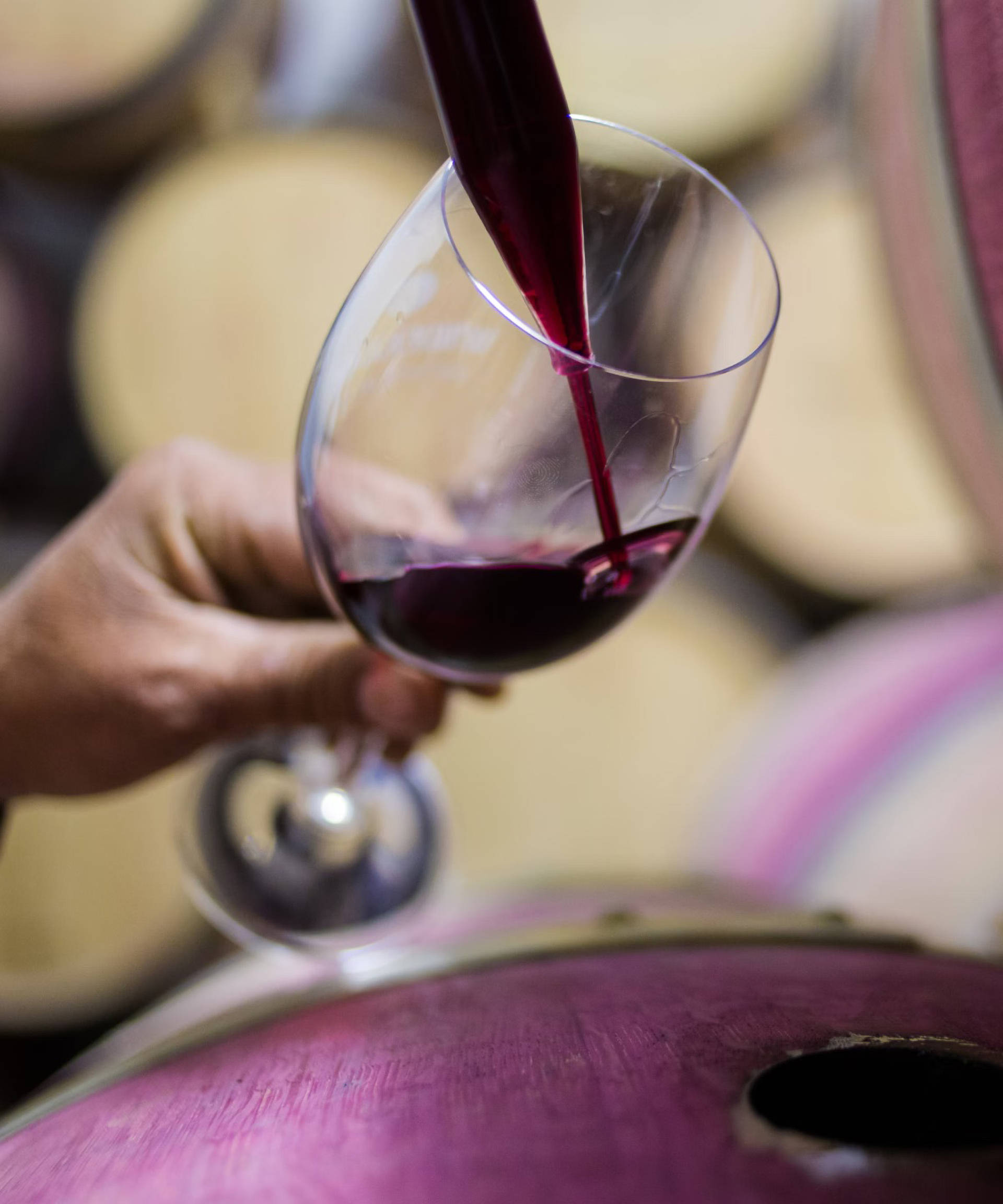 Jemand füllt ein Weinglas mit Rotwein direkt aus dem Fass, im Weinkeller.