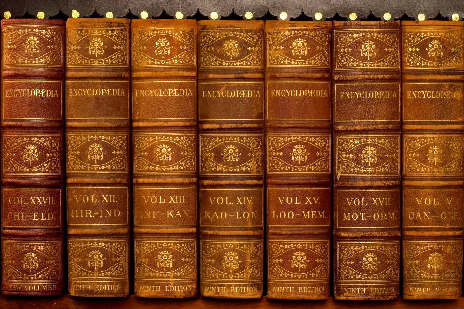 Nahaufnahme von alten, ledergebundenen Enzyklopädien in einem Regal, goldene Verzierungen auf den Buchrücken.