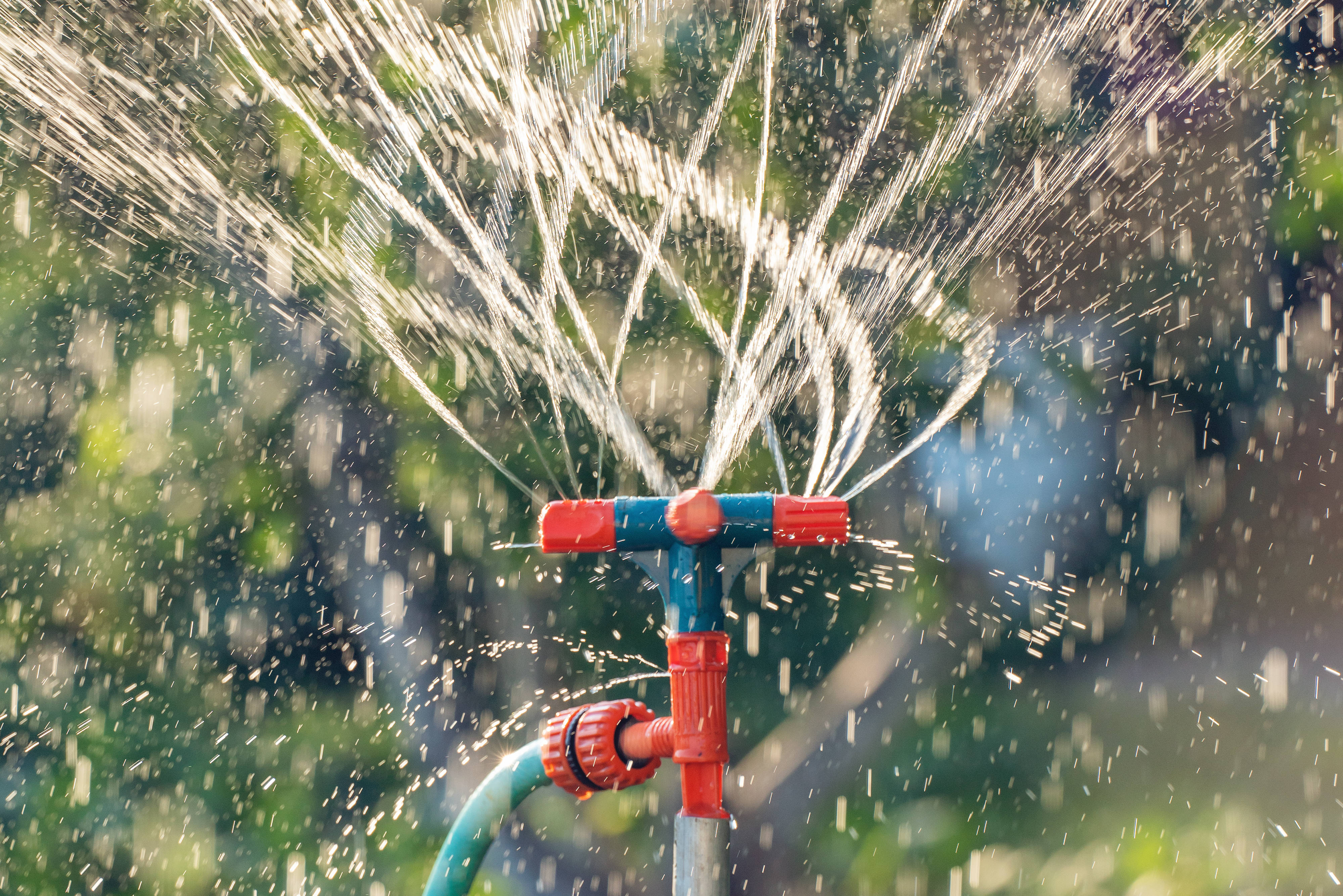 Gartenbewässerungssystem mit rotierendem Sprinkler.