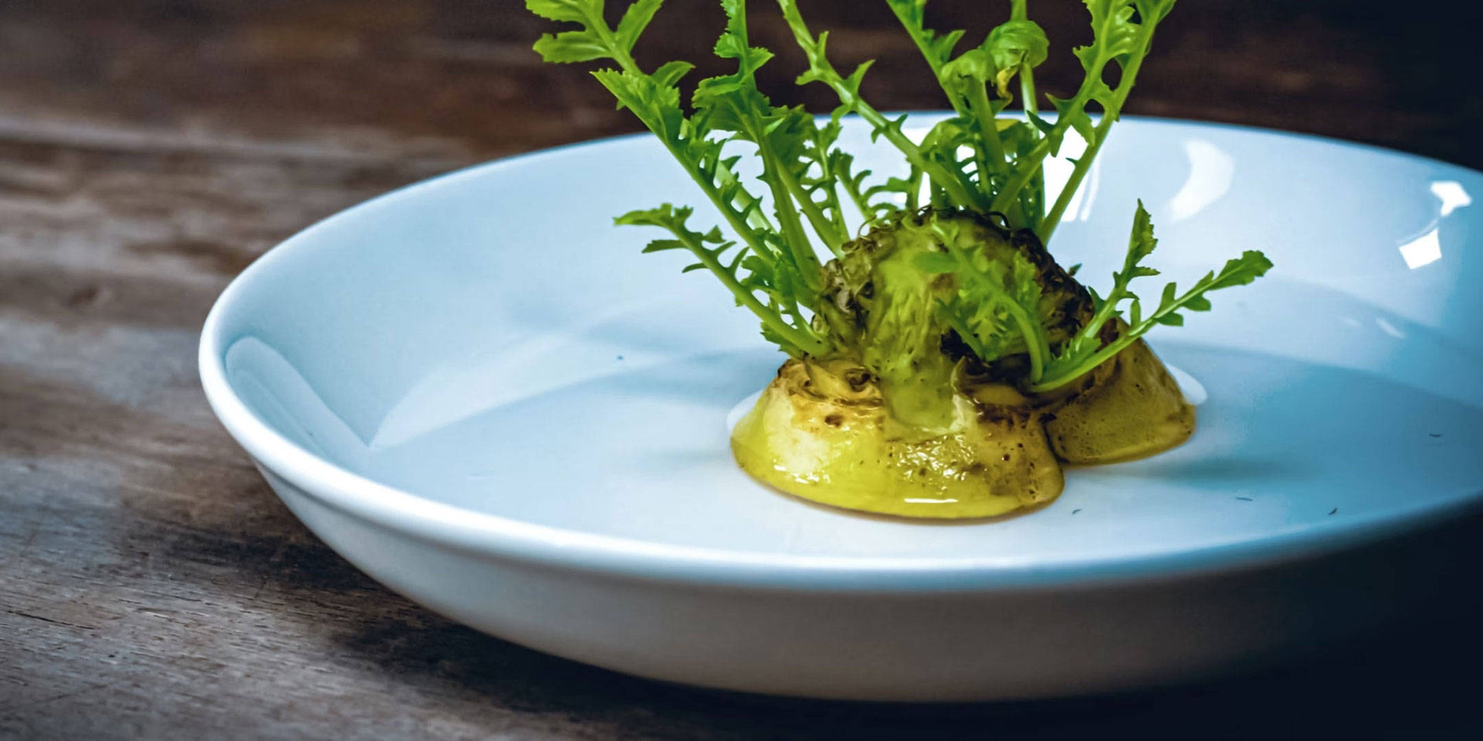 Auf einem weißen Teller ist der abgeschnittene Strunk eines Wurzelgemüses, aus dem frisches grünes Blattwerk nachwächst.