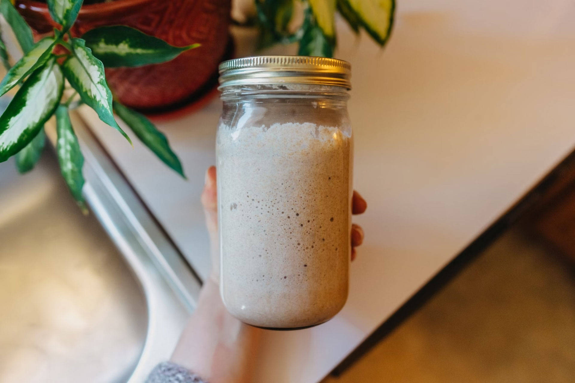 Eine Person hält ein Glas mit aktivem Sauerteig in der Hand.