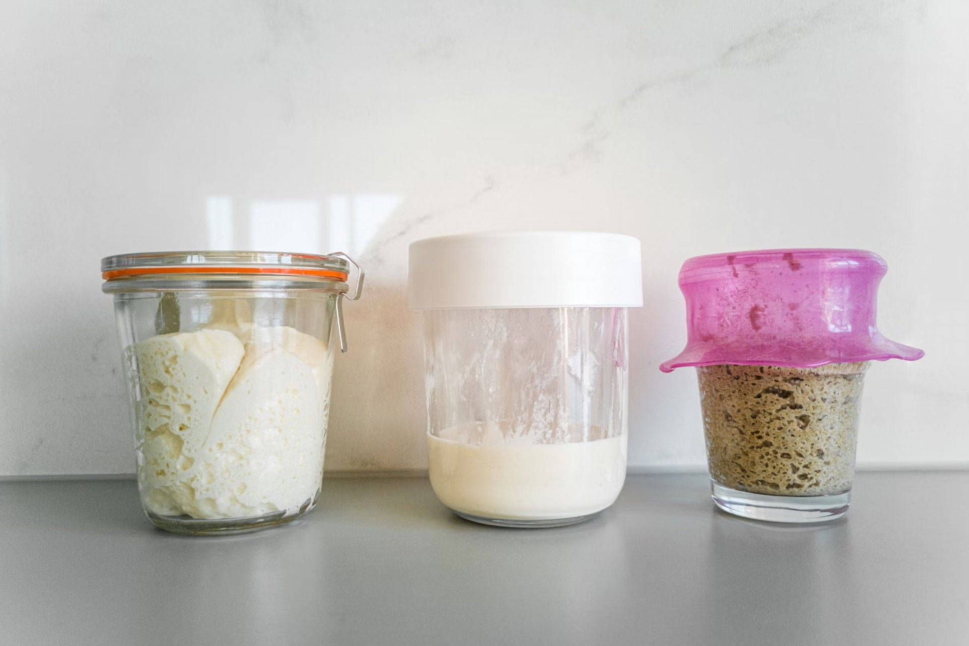 Drei Gläser mit aktivem Sauerteig in unterschiedlichen Entwicklungsstufen auf einer Ablage vor einer Wand.