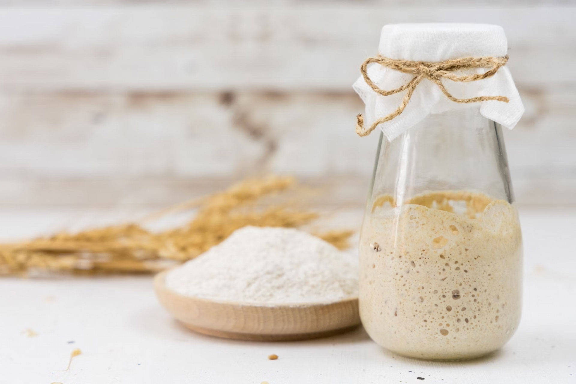 Einmachglas mit aktivem Sauerteig neben einer Schale Mehl.