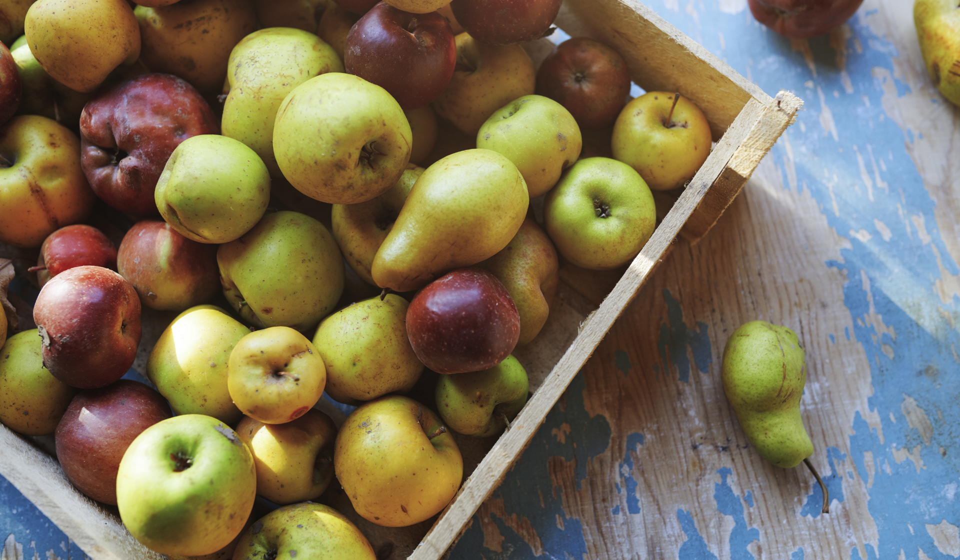 Äpfel und Birnen in einer Holzkiste.