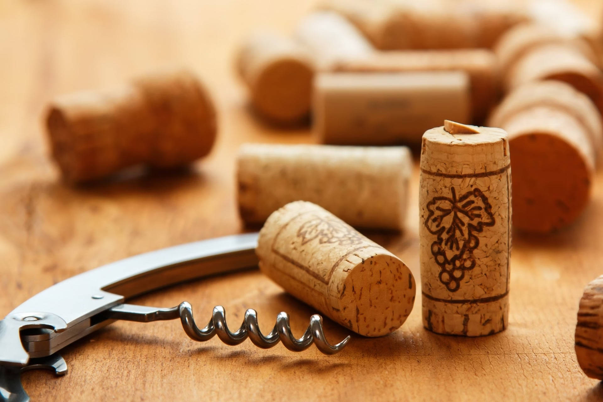 Verschiedene Naturkorken liegen neben einem Korkenzieher auf einer Arbeitsfläche.