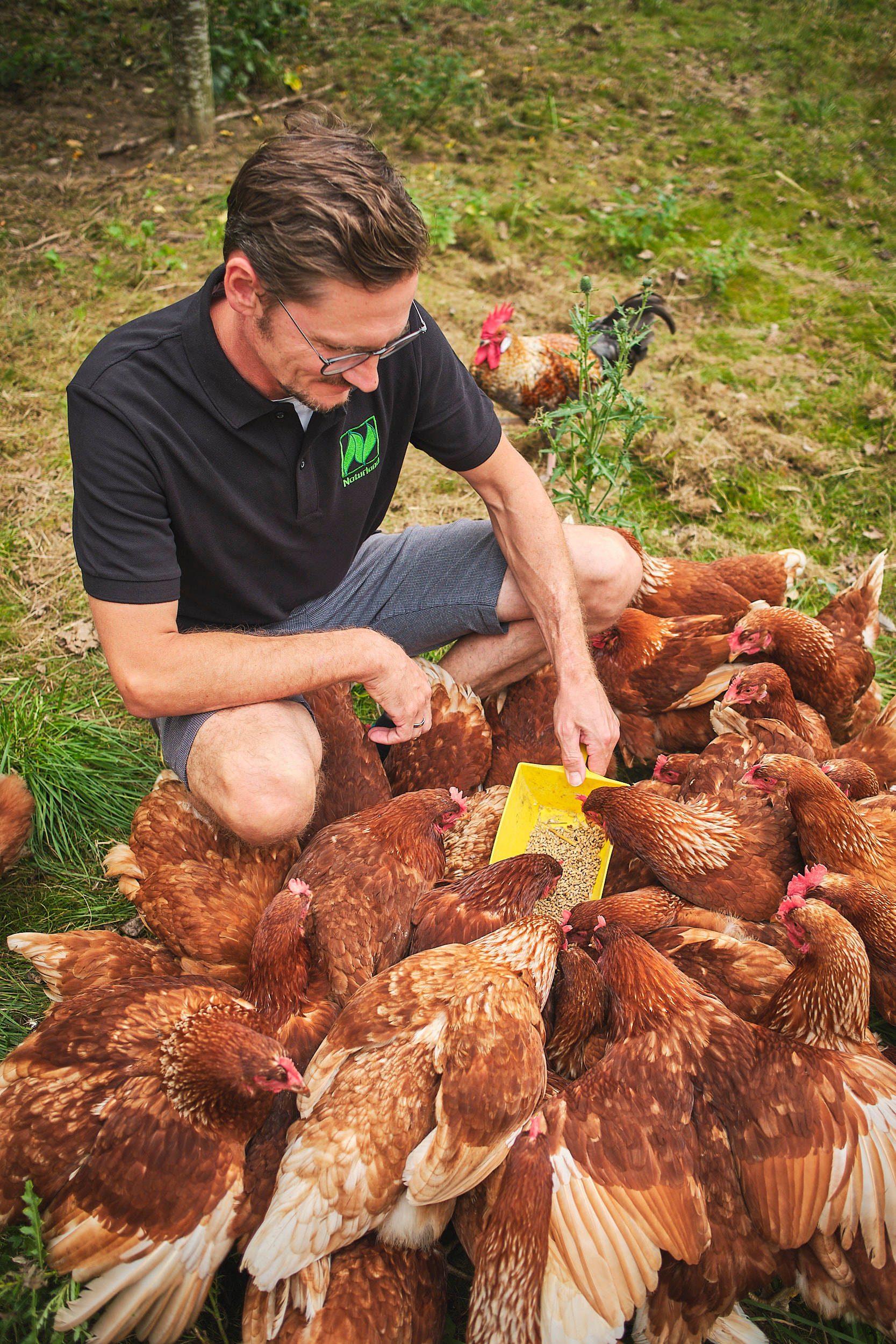 Stefan Berthold füttert seine Hühner.
