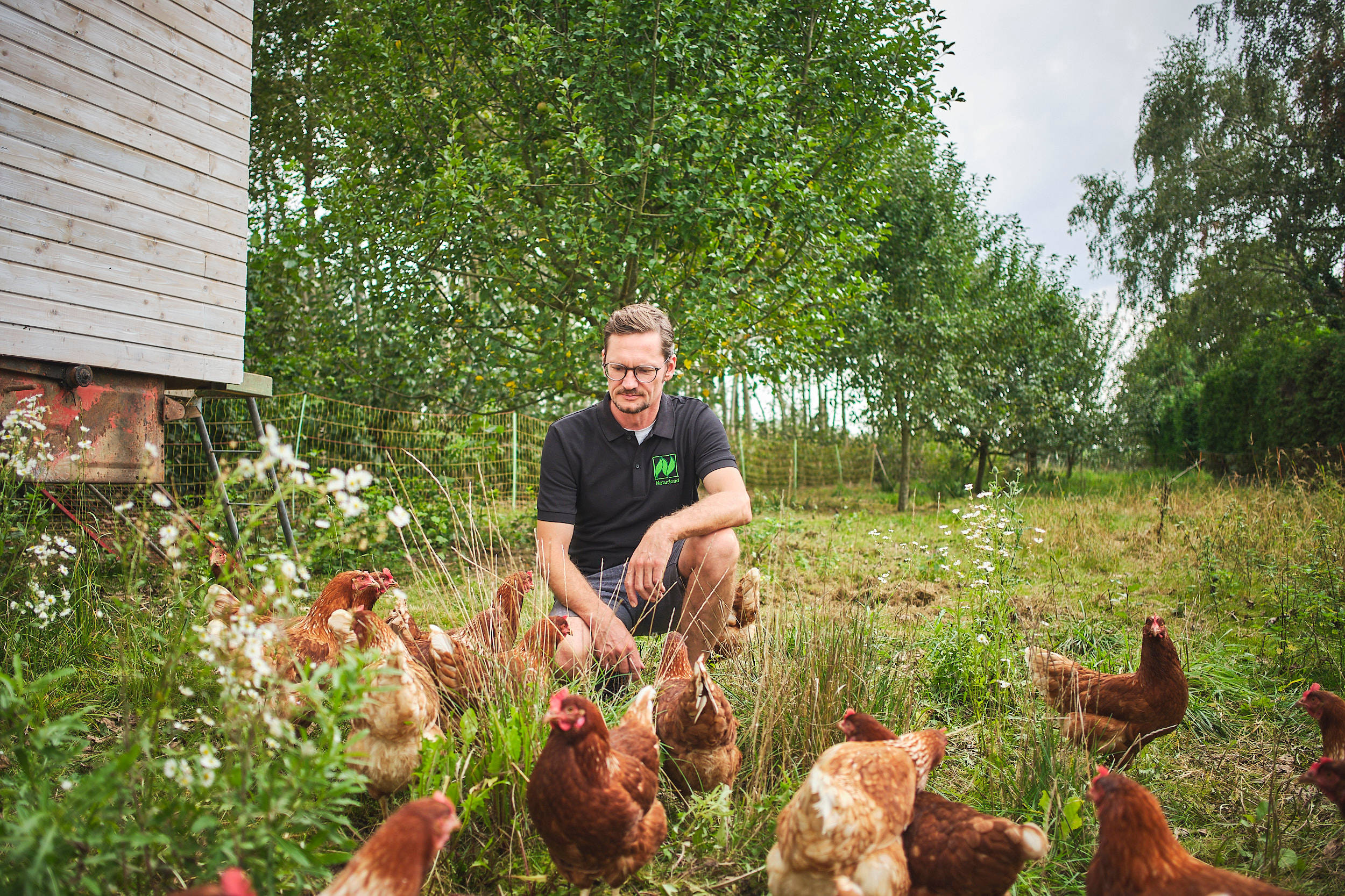Stefan Berthold zusammen mit seinen Hühnern.