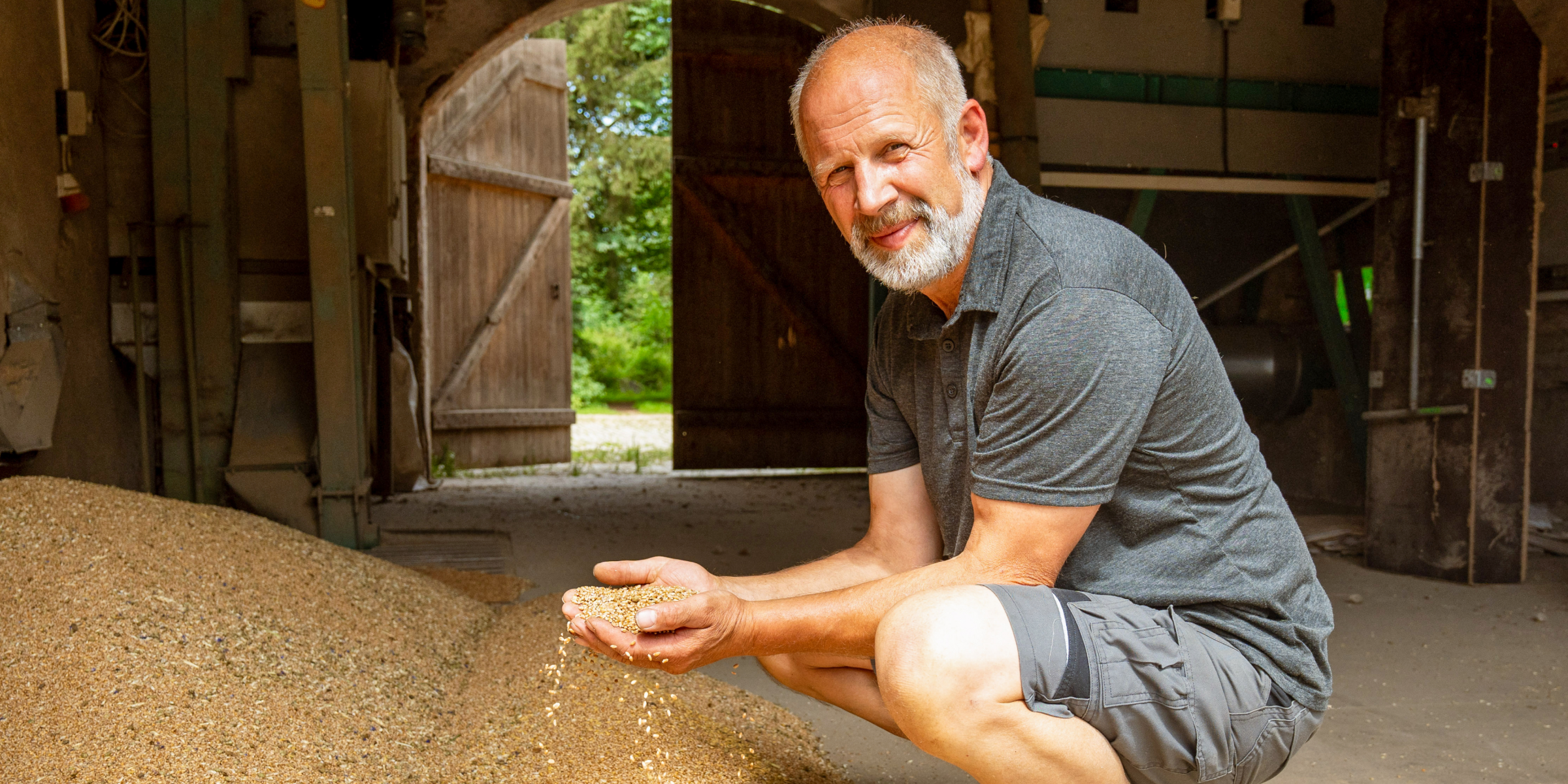 Landwirt Reinhard Brunner betrachtet frisch geerntetes Getreide.