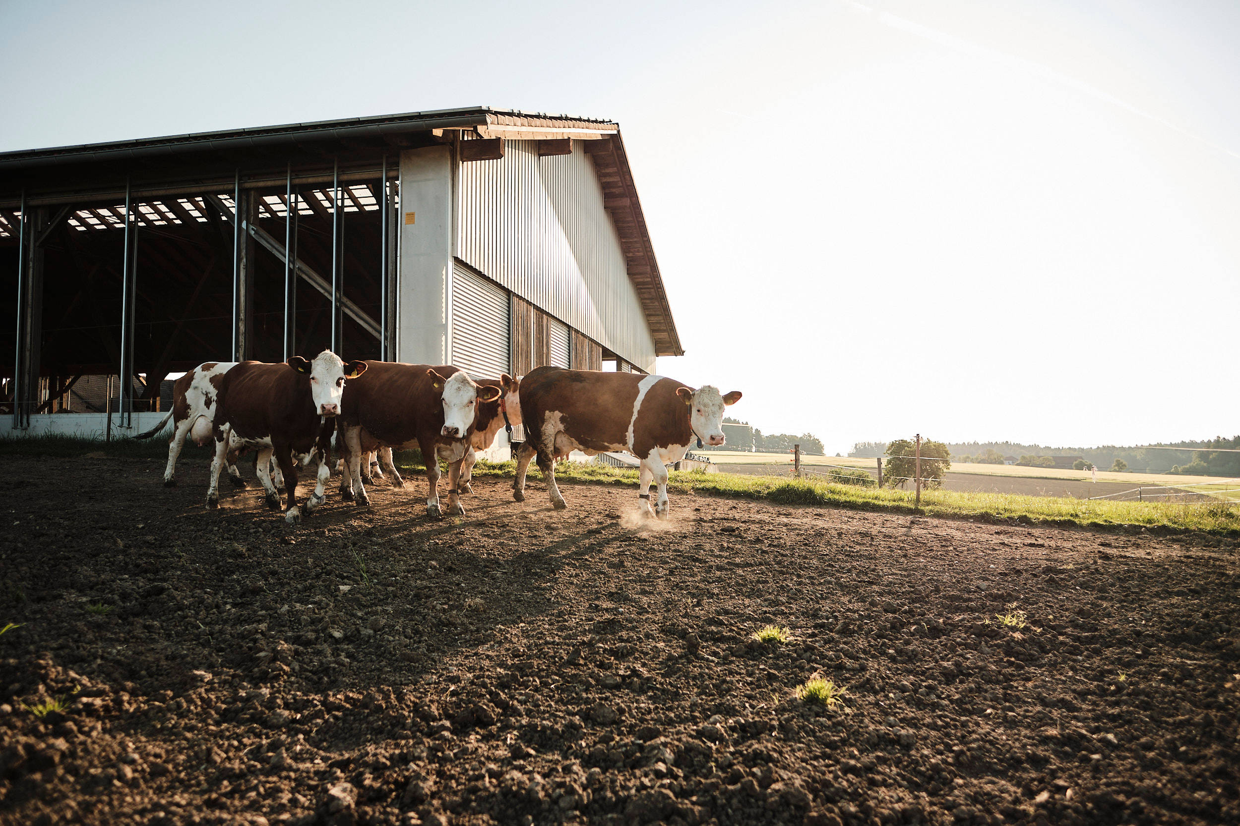 Der Biohof Familie Edmaier.