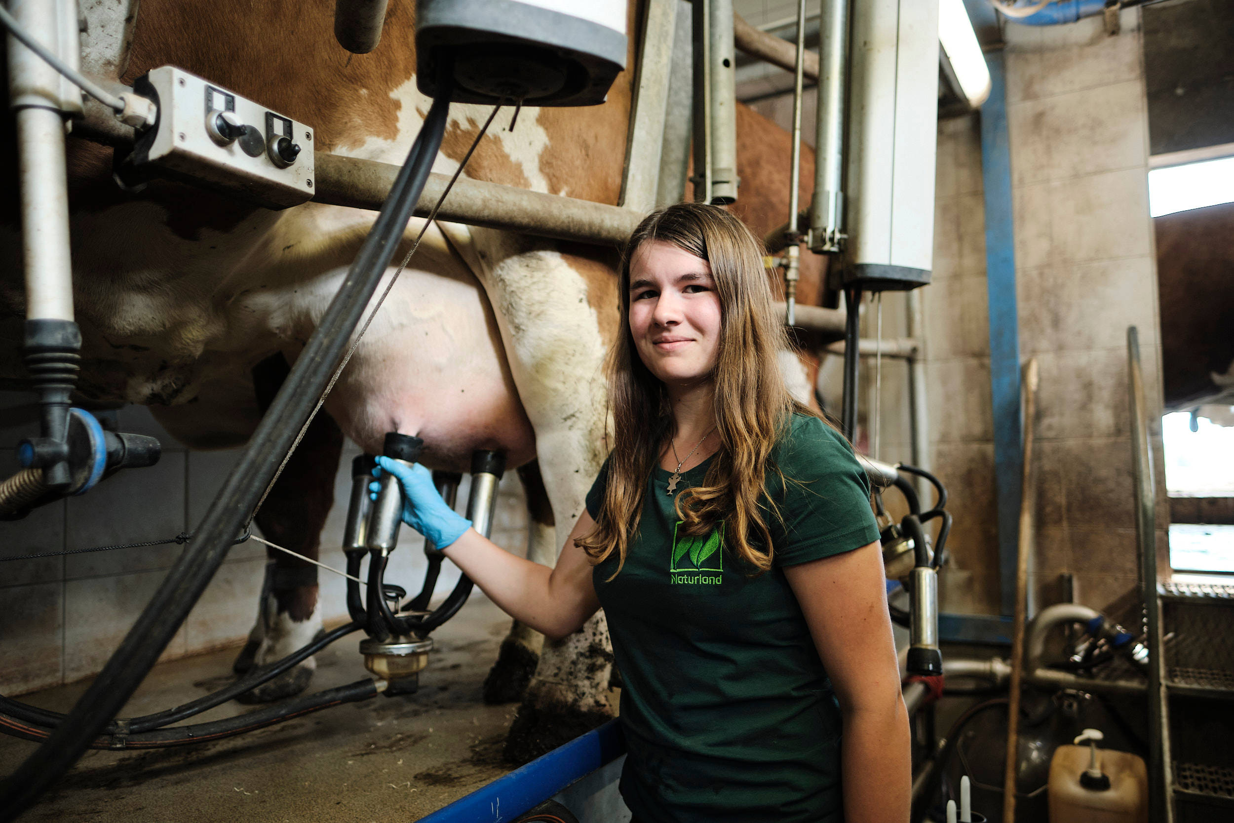 Die Tochter der Edmaiers melkt eine Kuh.