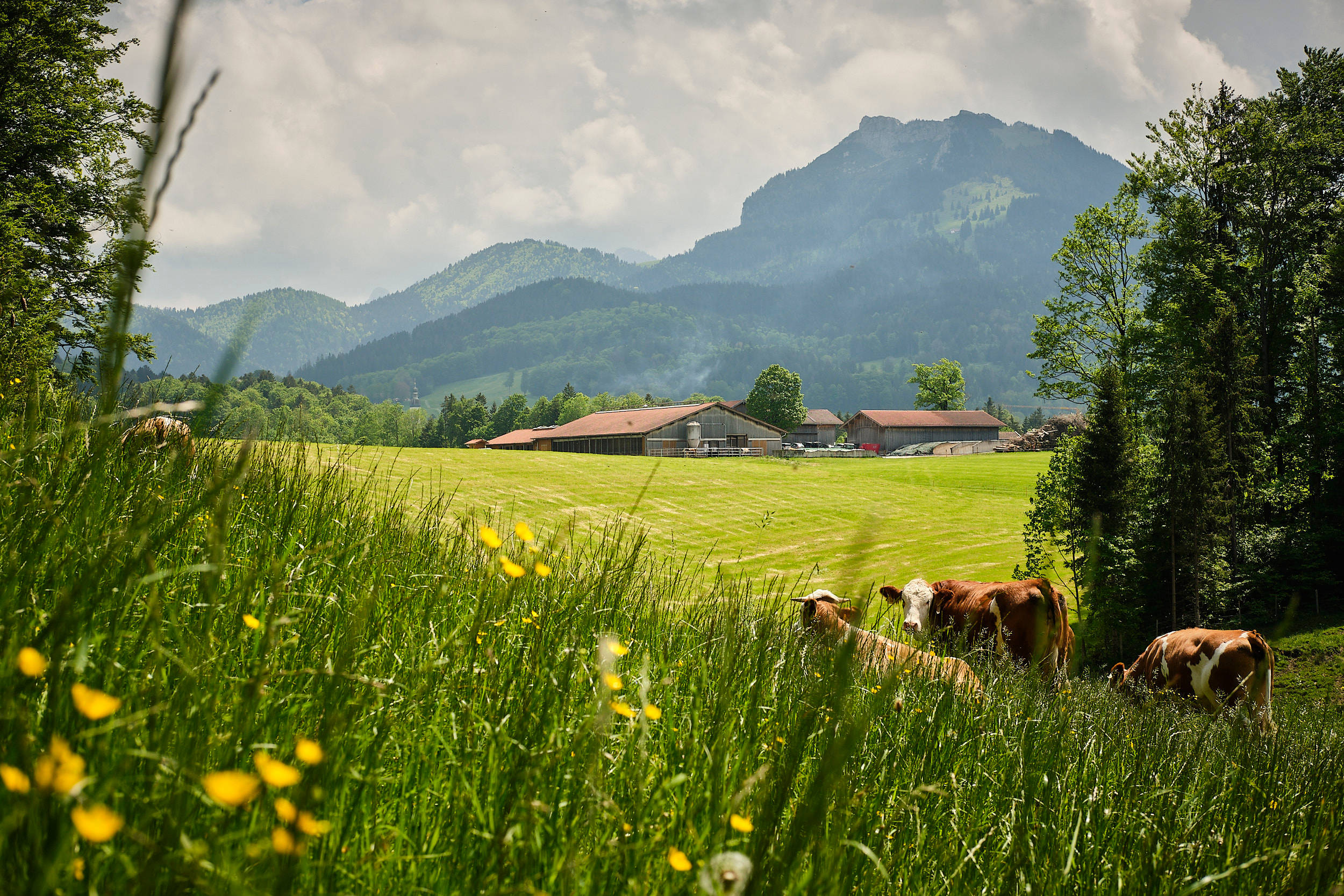 Der Auerbauer-Hof der Familie Fichtner