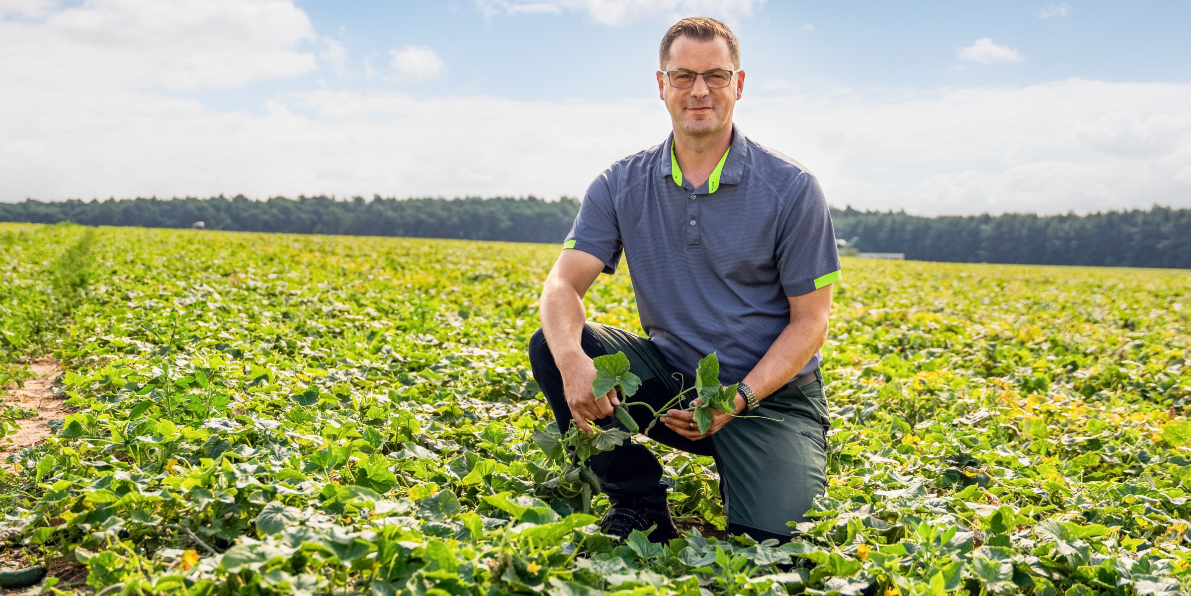 Herr Frehn kniet im Anbaufeld und hält einen Strang Gurken.
