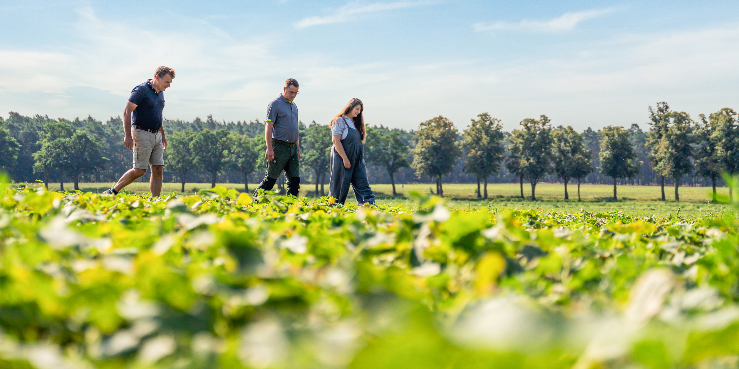 Familie Frehn läuft gemeinsam über das Feld.