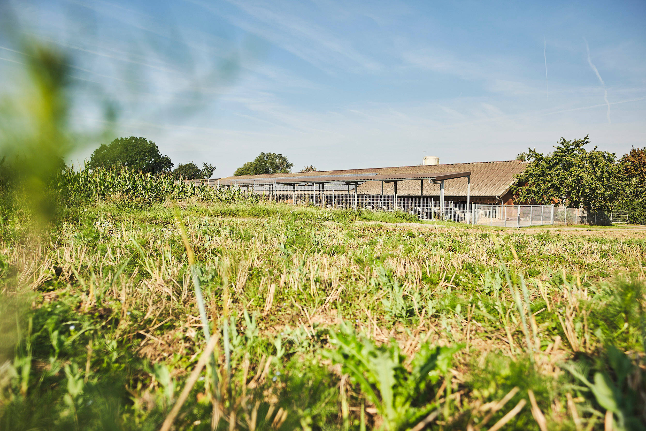 Naturland-Hof von Familie Fritz-Emmerich aus der Luft.