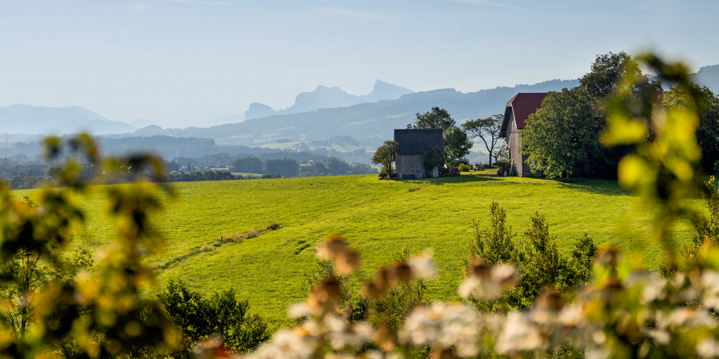 Aussicht vom Unterwindiggut in die umliegende Natur.