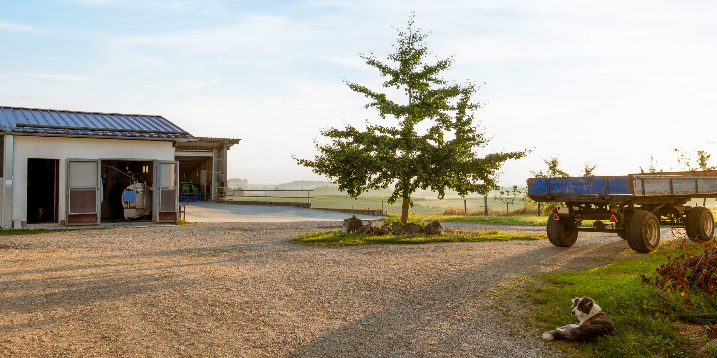 Betrieb und umliegende Natur.