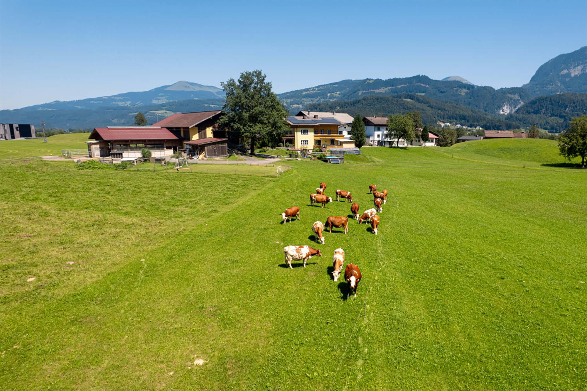 Das Hinterhöhgut der Familie Kronreif