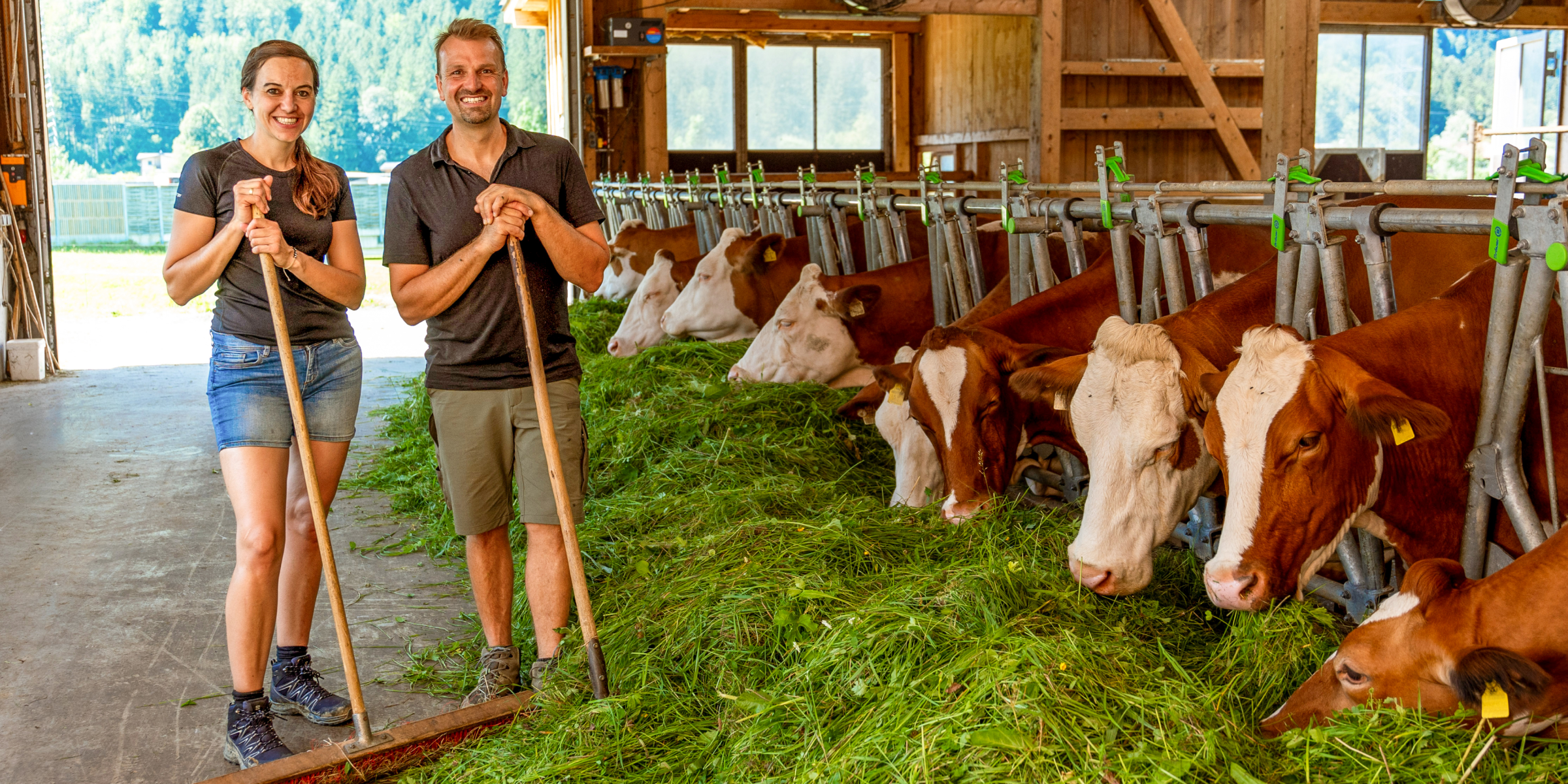 Herr und Frau Kronreif misten gemeinsam den Kuhstall