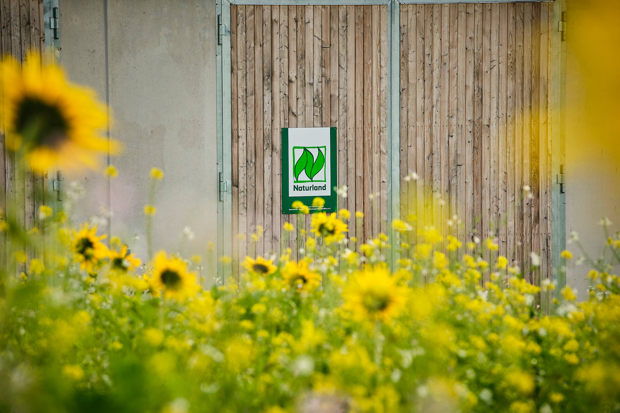 Sonnenblumen vor einem Schild mit dem Naturland-Logo.
