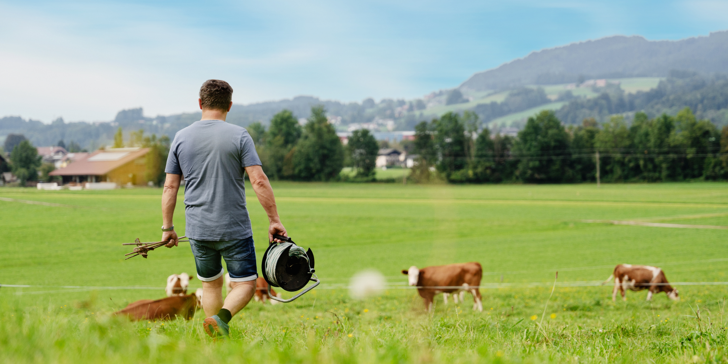 Herr Niedermüller auf dem Weg zu den Kühen auf der Wiese.