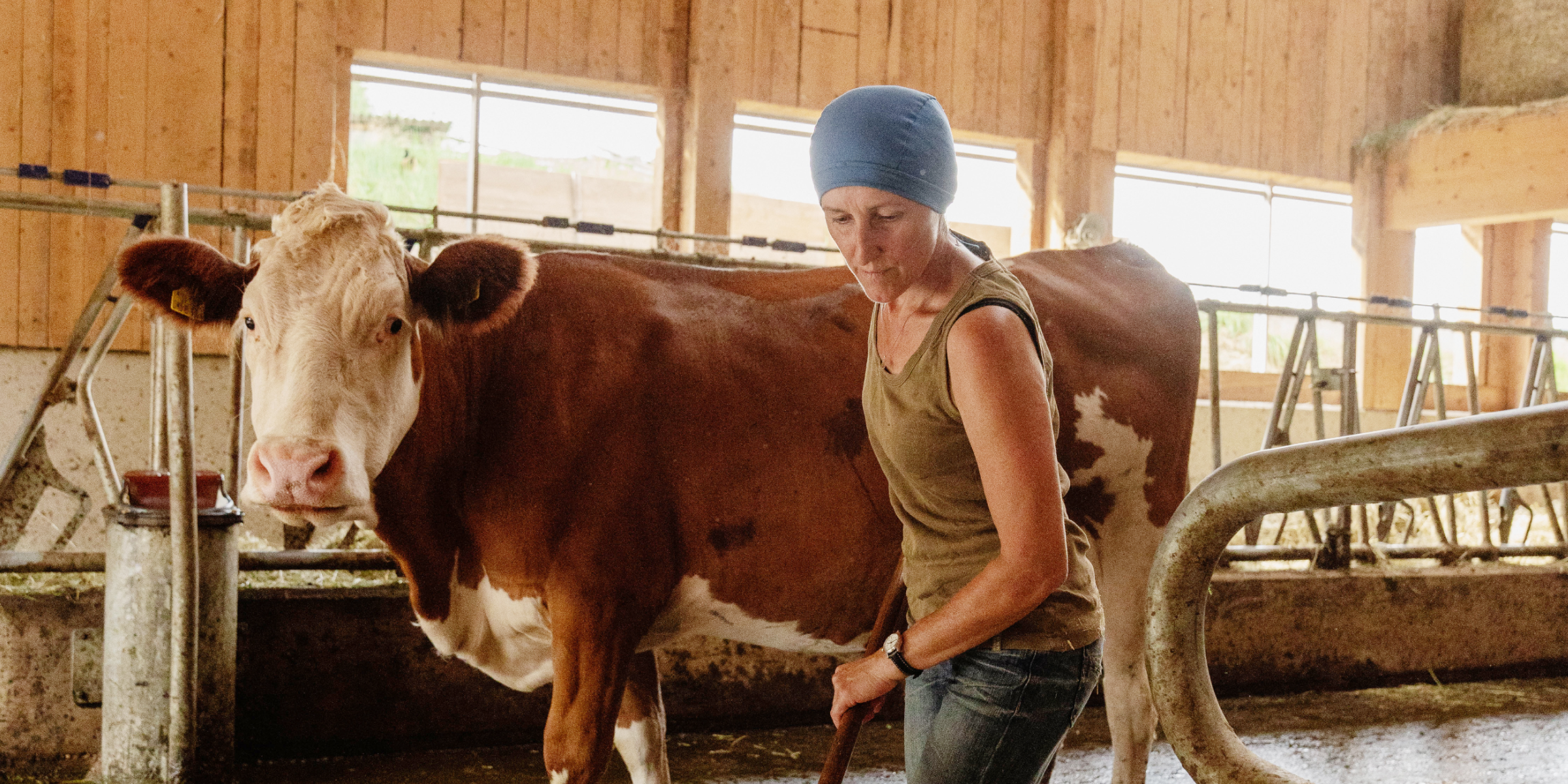 Frau Niedermüller mit Kuh im Stall.