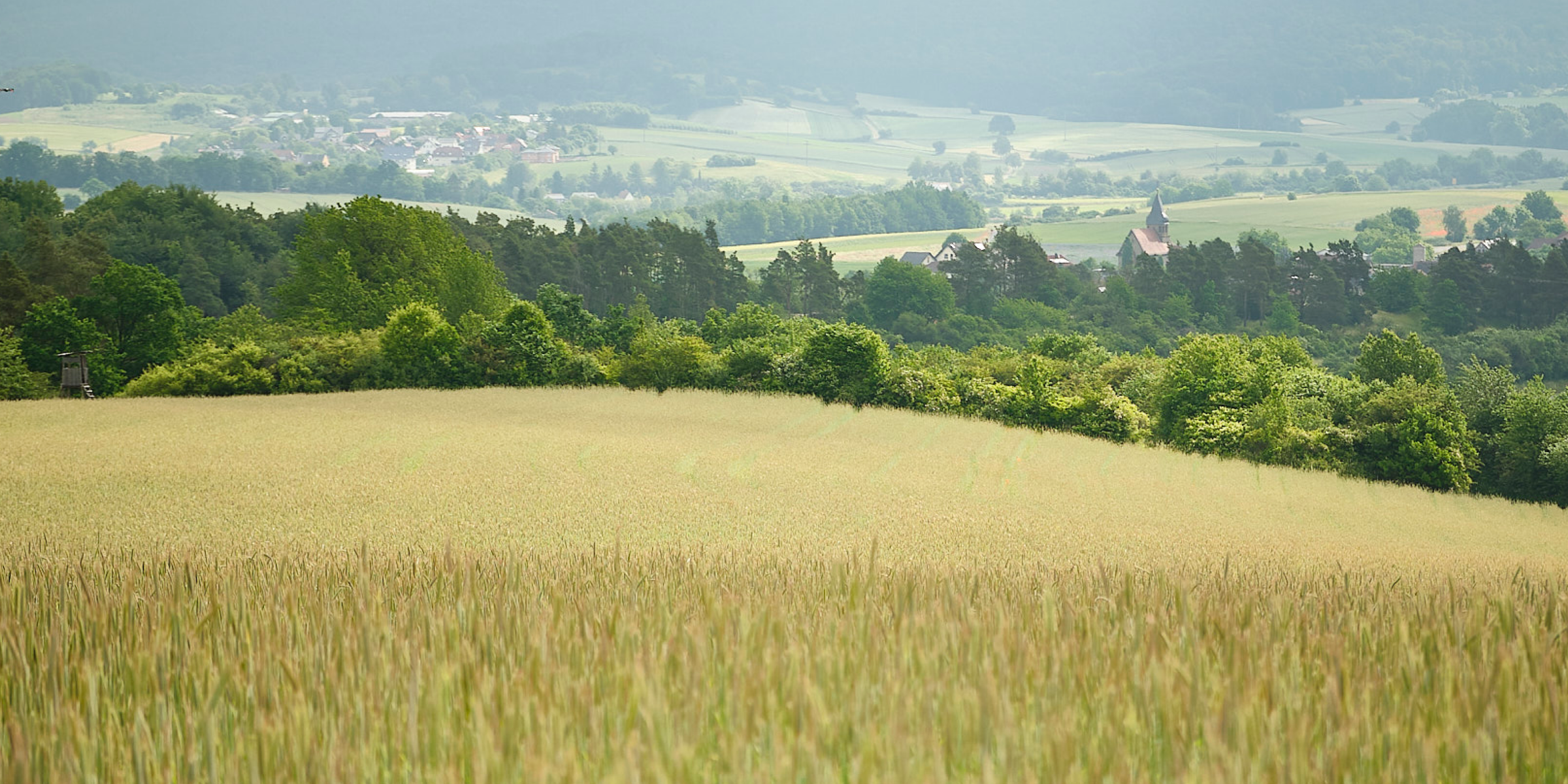 Getreidefeld vor Talblick