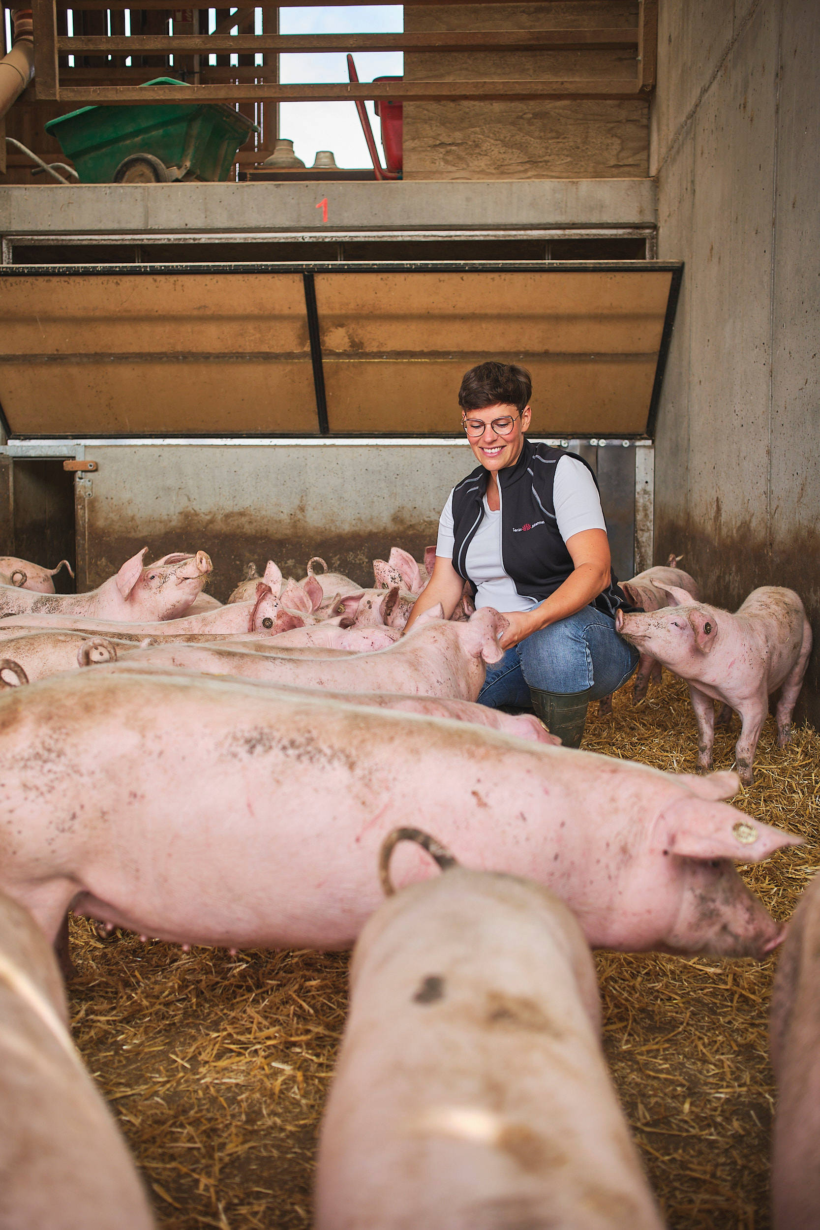 Frau Gaudera füttert die Schweine im Stall.