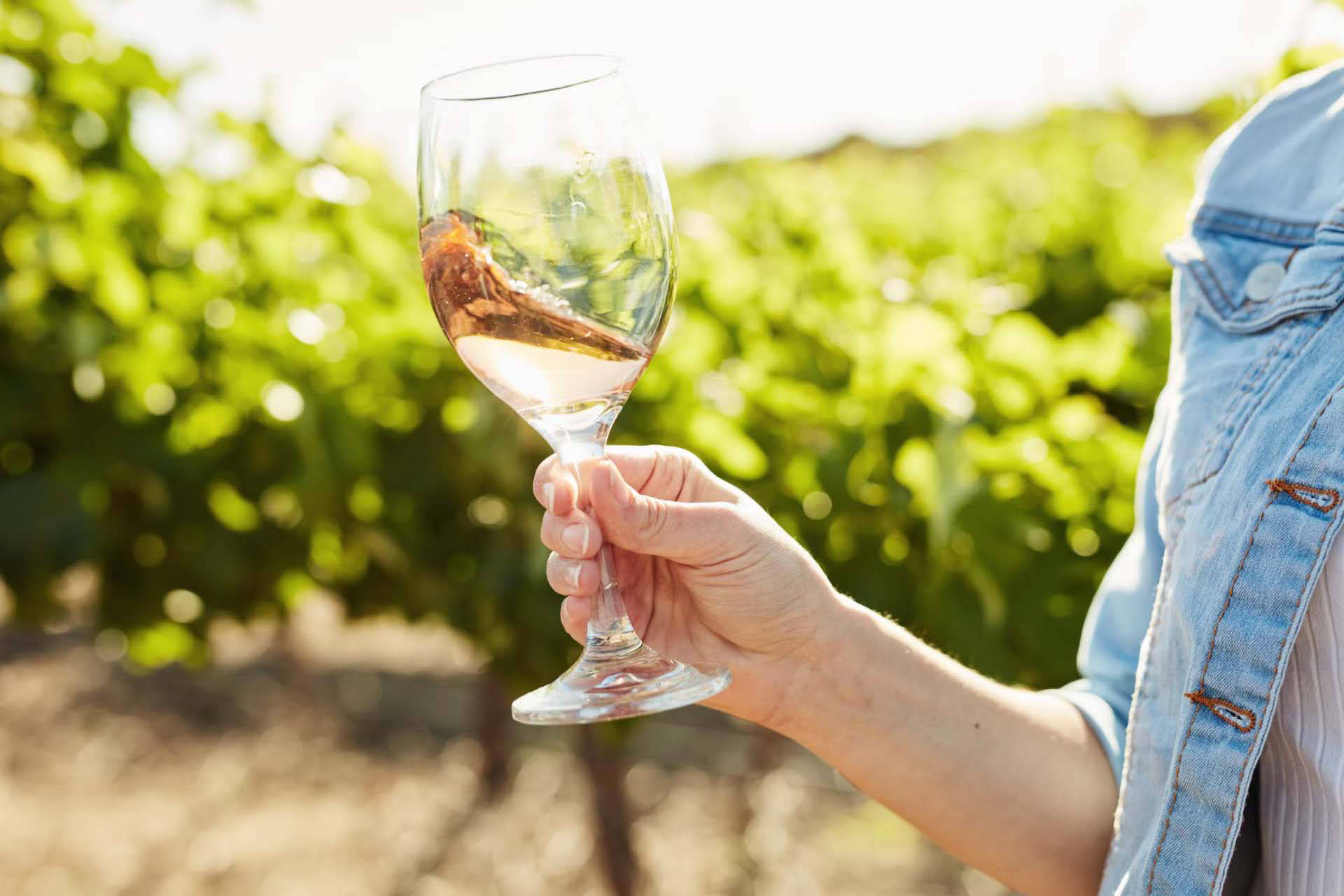 Person schwenkt ein Weinglas mit Roséwein in der Sonne, im Hintergrund ein Weinberg.