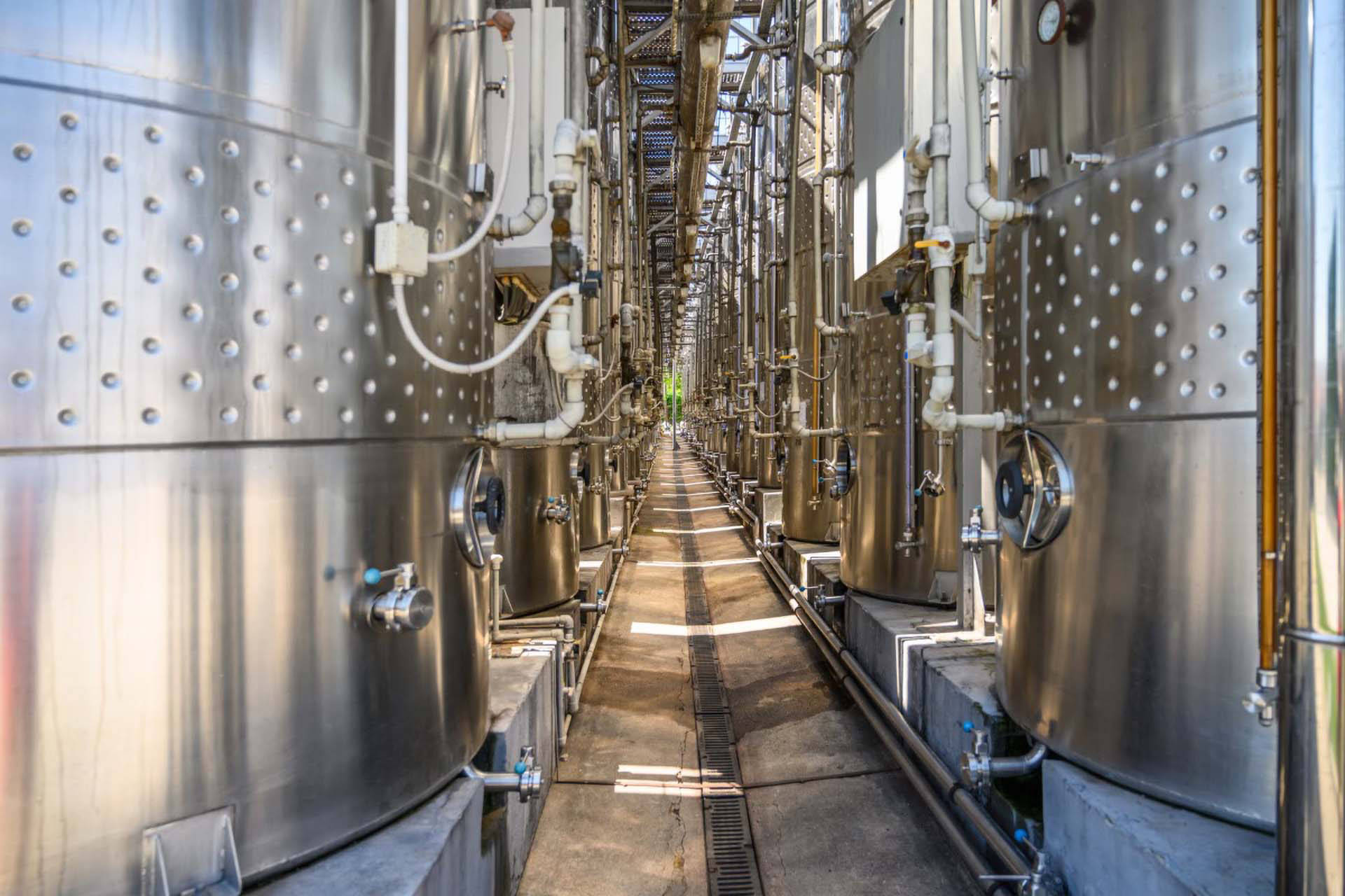 Reihe von großen Edelstahltanks in einer modernen Weinkellerei.