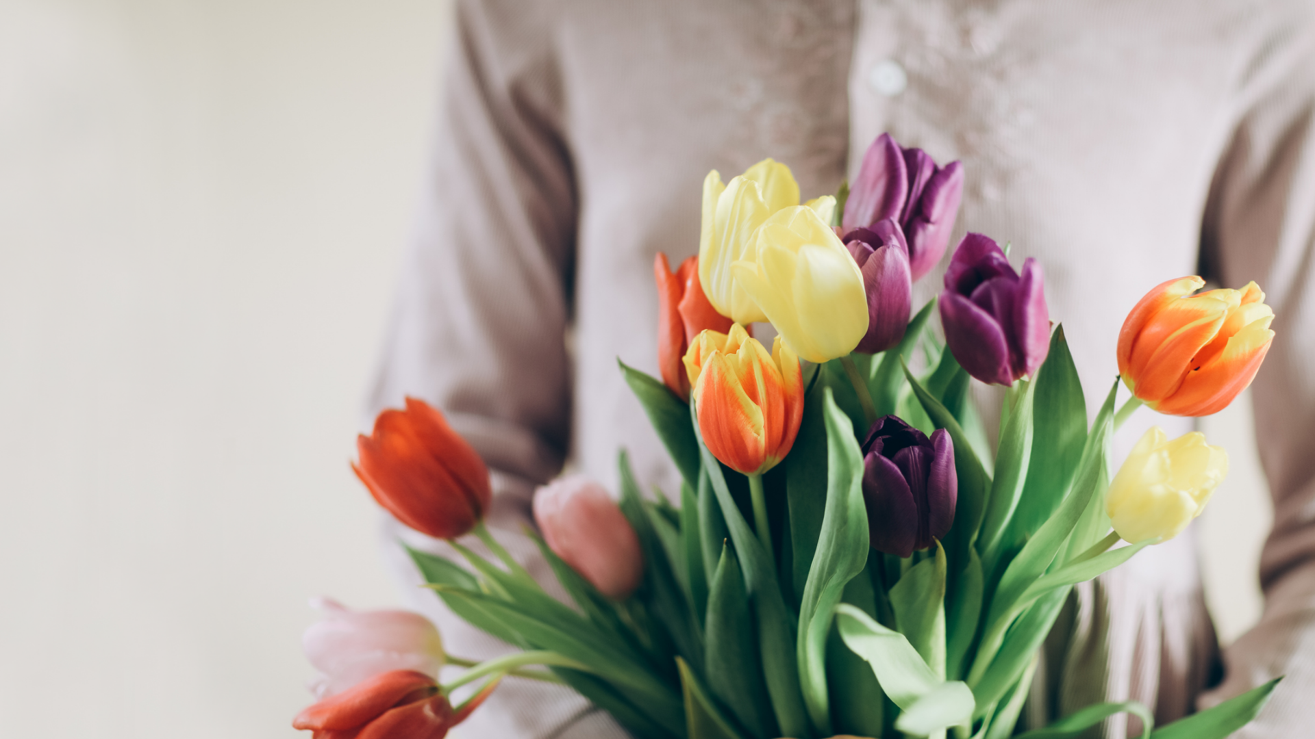 Person hält bunten Tulpenstrauß vor beiger Kleidung.