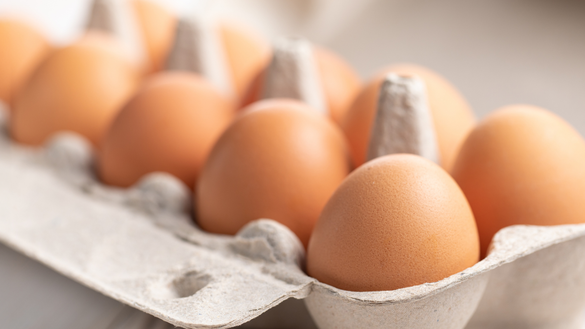 Nahaufnahme von braunen Eiern in einem Eierkarton.