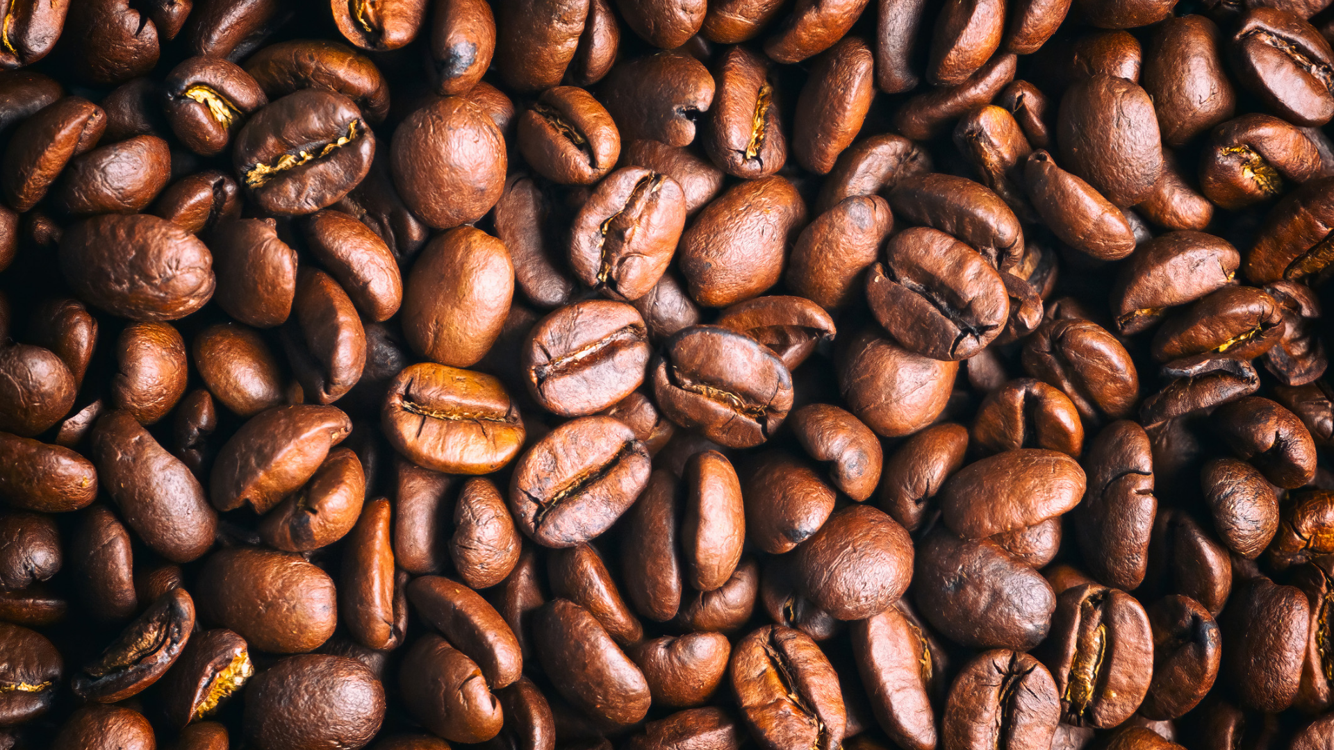 Nahaufnahme von gerösteten Kaffeebohnen, braun und glänzend.