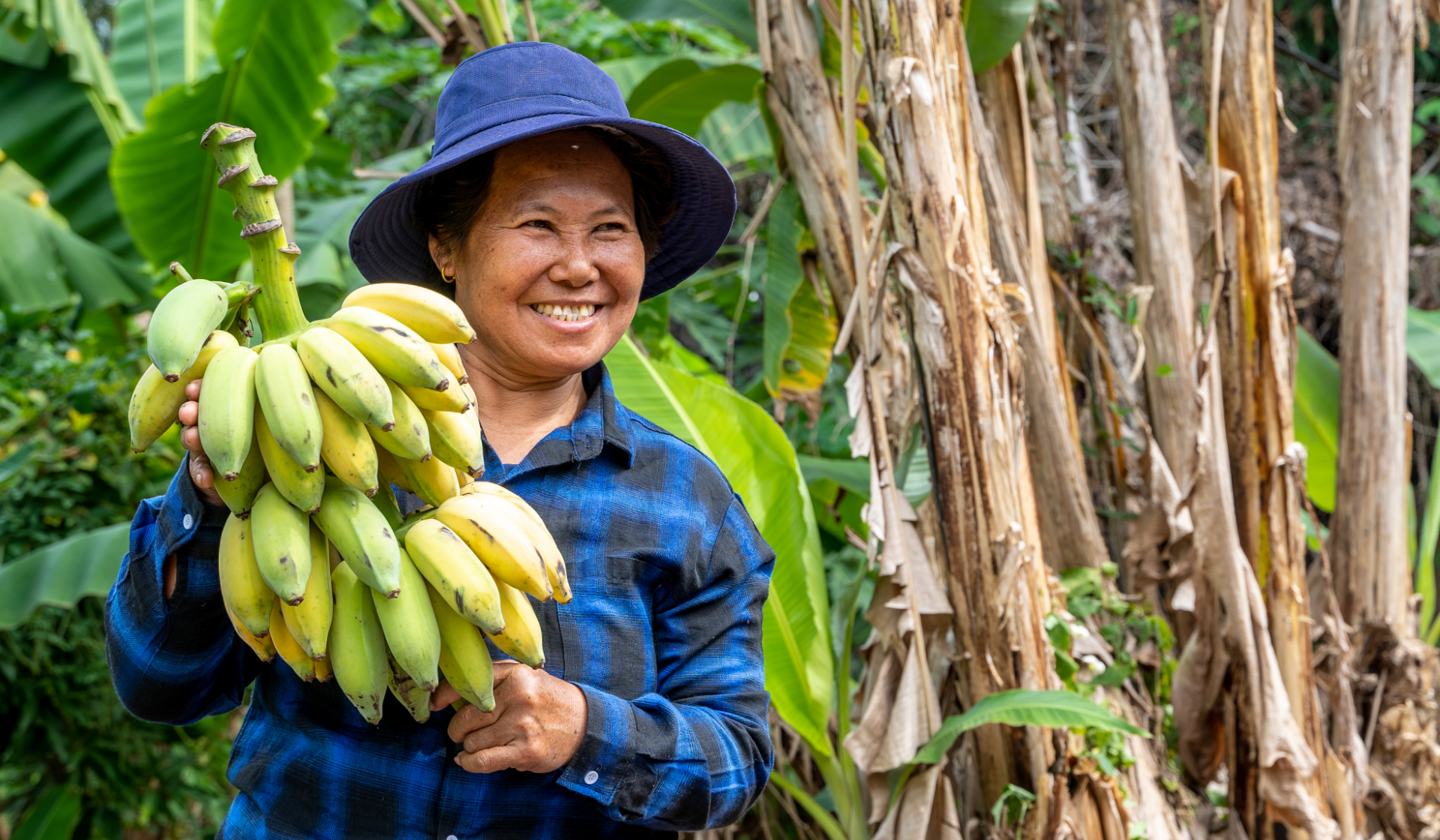 Eine Farmerin hält freudig eine Bananenstaude mit reifen Bananen hoch.
