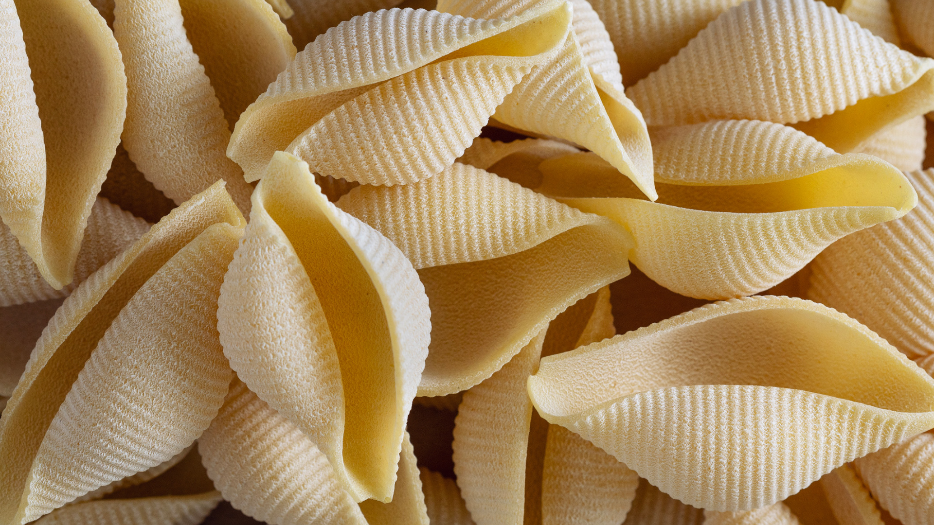 Nahaufnahme von rohen, gerippten Muschelnudeln.