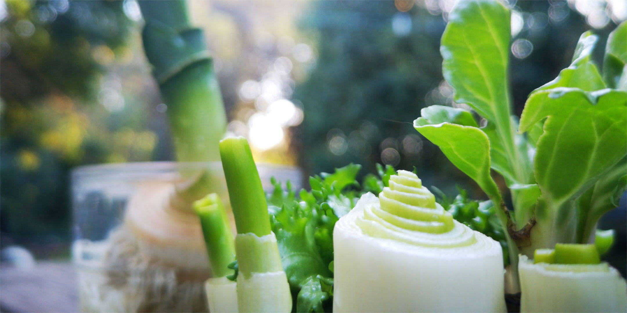 Zwei Frauen sitzen auf einer Couch und stoßen gut gelaunt mit ihren Rotwein Gläsern in der Luft an.