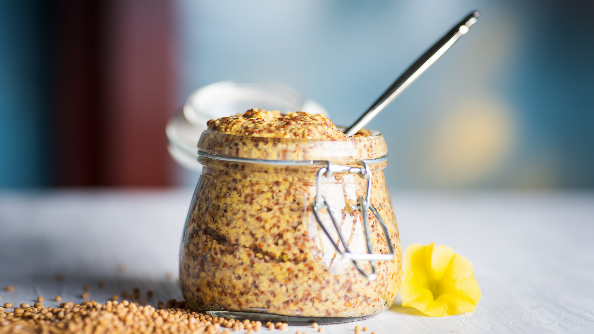 Senfglas mit körnigem Senf, Löffel und Senfkörnern.