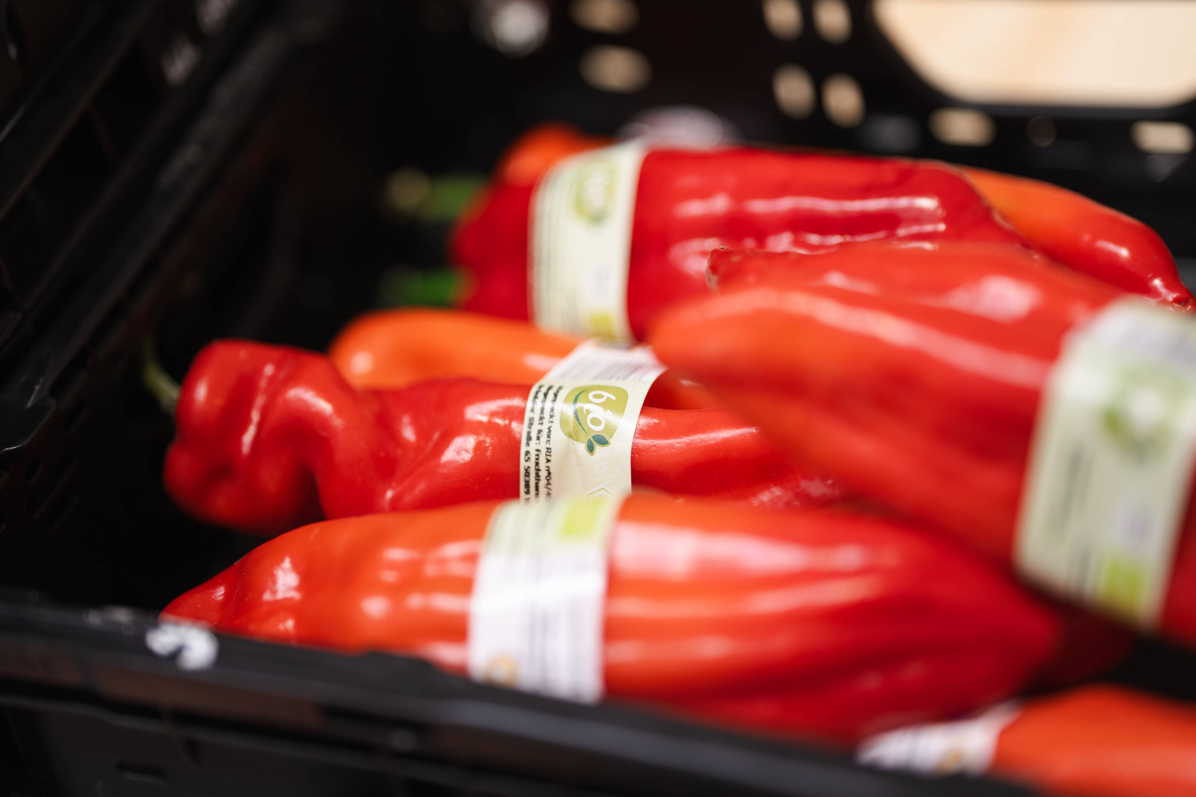 Nahaufnahme von roter Bio-Spitzpaprika im Regal eines ALDI SÜD Supermarkts.