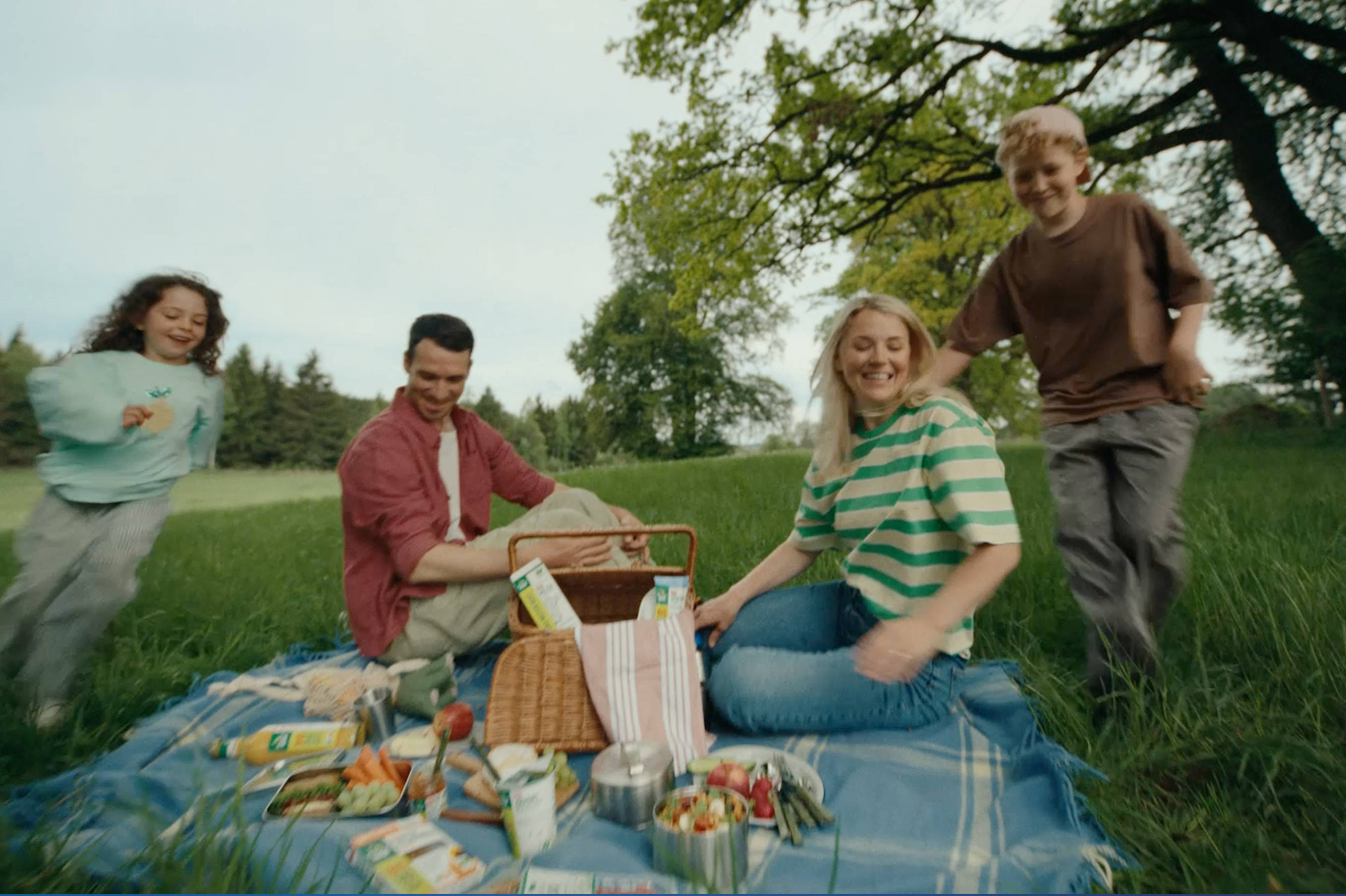 Felix Neureuther mit seiner Familie beim Picknick auf einer Wiese mit Lebensmitteln und Picknickkorb.