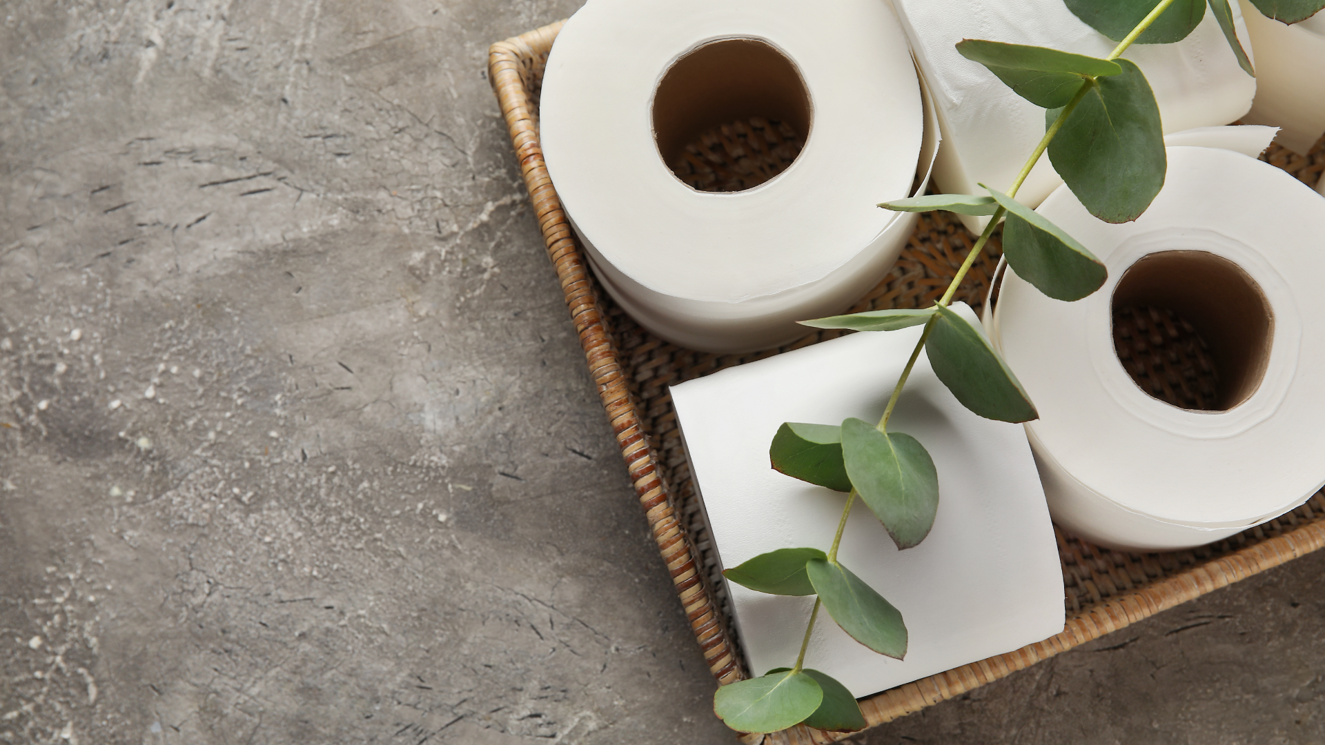 Toilettenpapierrollen und Eukalyptus in einem Korb auf grauem Hintergrund.
