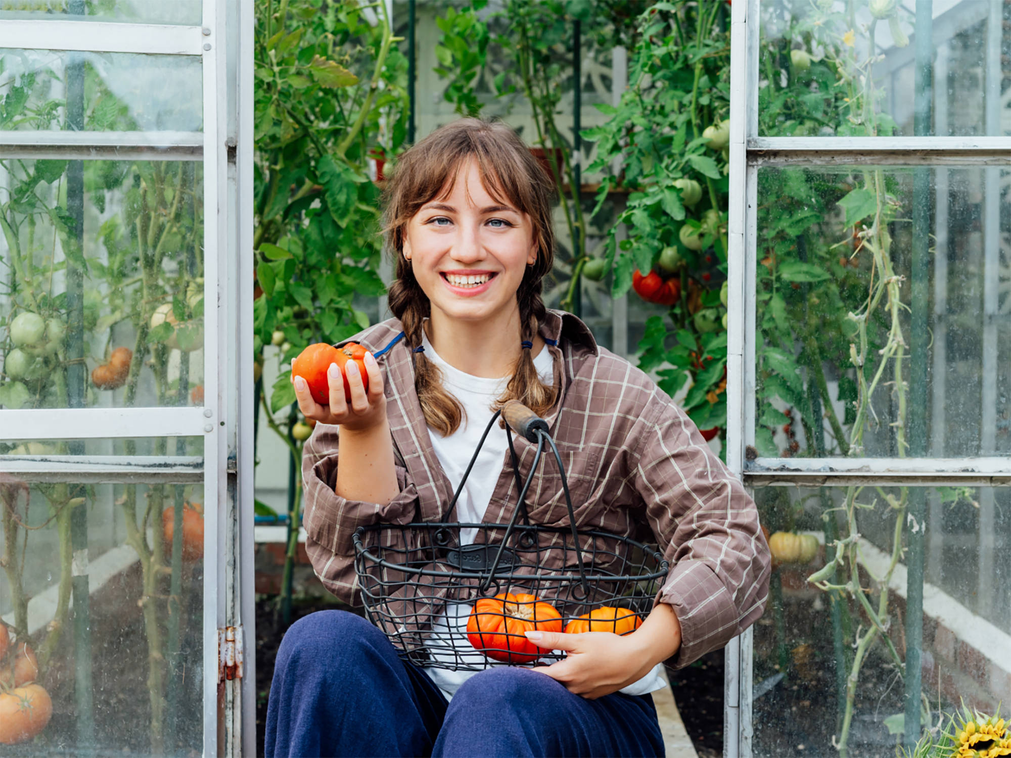 Frau mit frisch geernteten Tomaten im Gewächshaus.