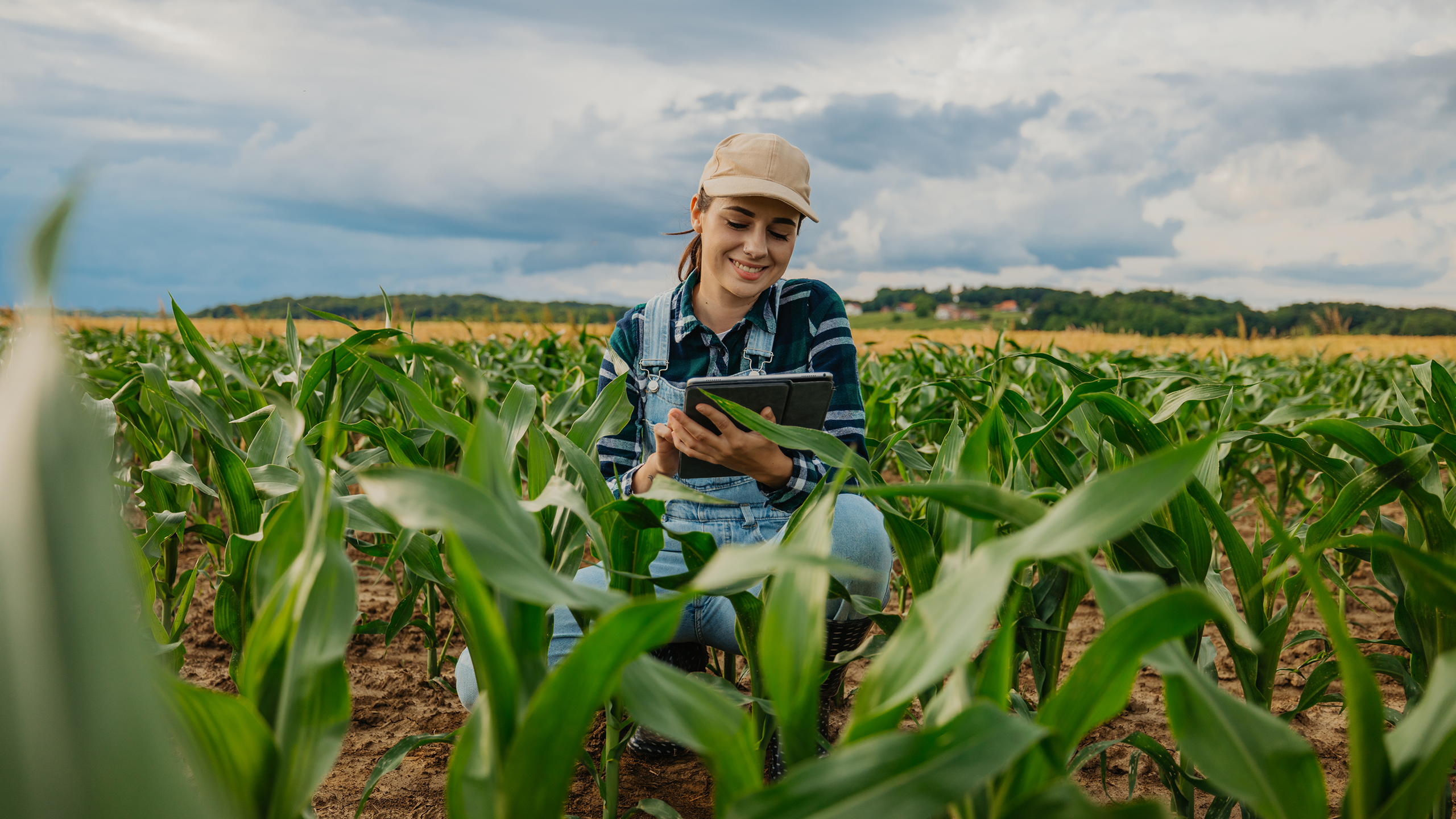 Eine junge Frau kniet in einem Maisfeld und nutzt ein Tablet, um Daten einzugeben.